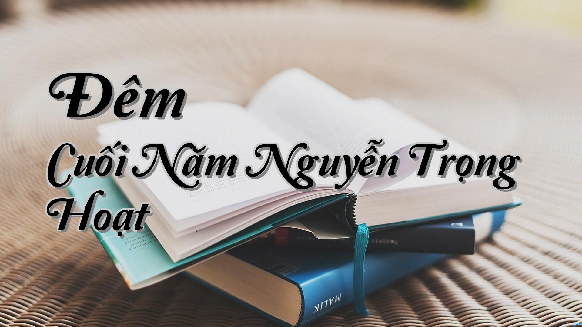 cover-Đêm Cuối Năm Nguyễn Trọng Hoạt