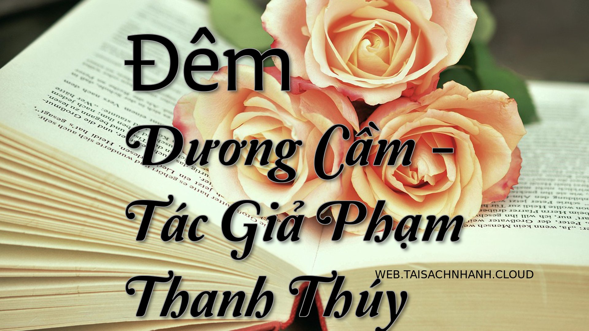 Cover Dem Duong Cam.jpg