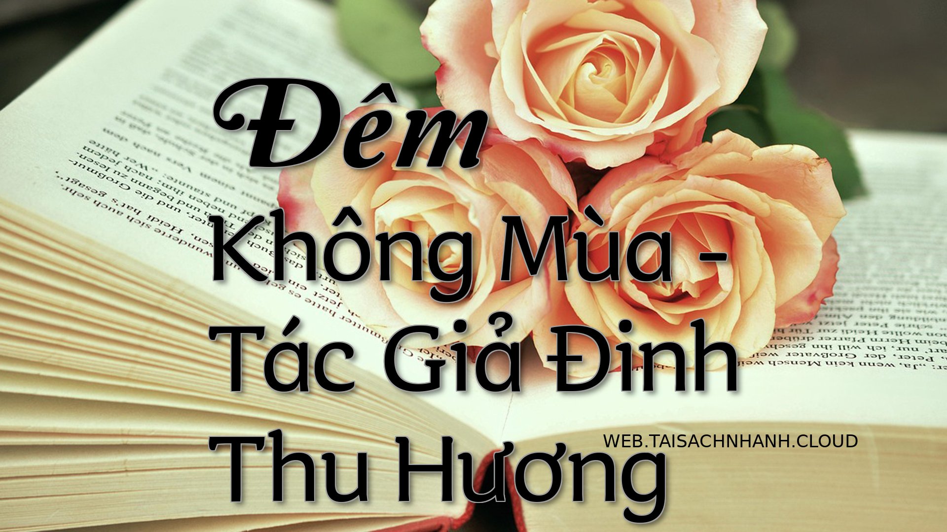 Cover Dem Khong Mua.jpg