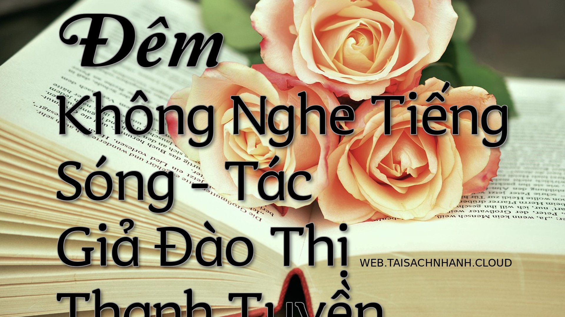 Cover Dem Khong Nghe Tieng.jpg