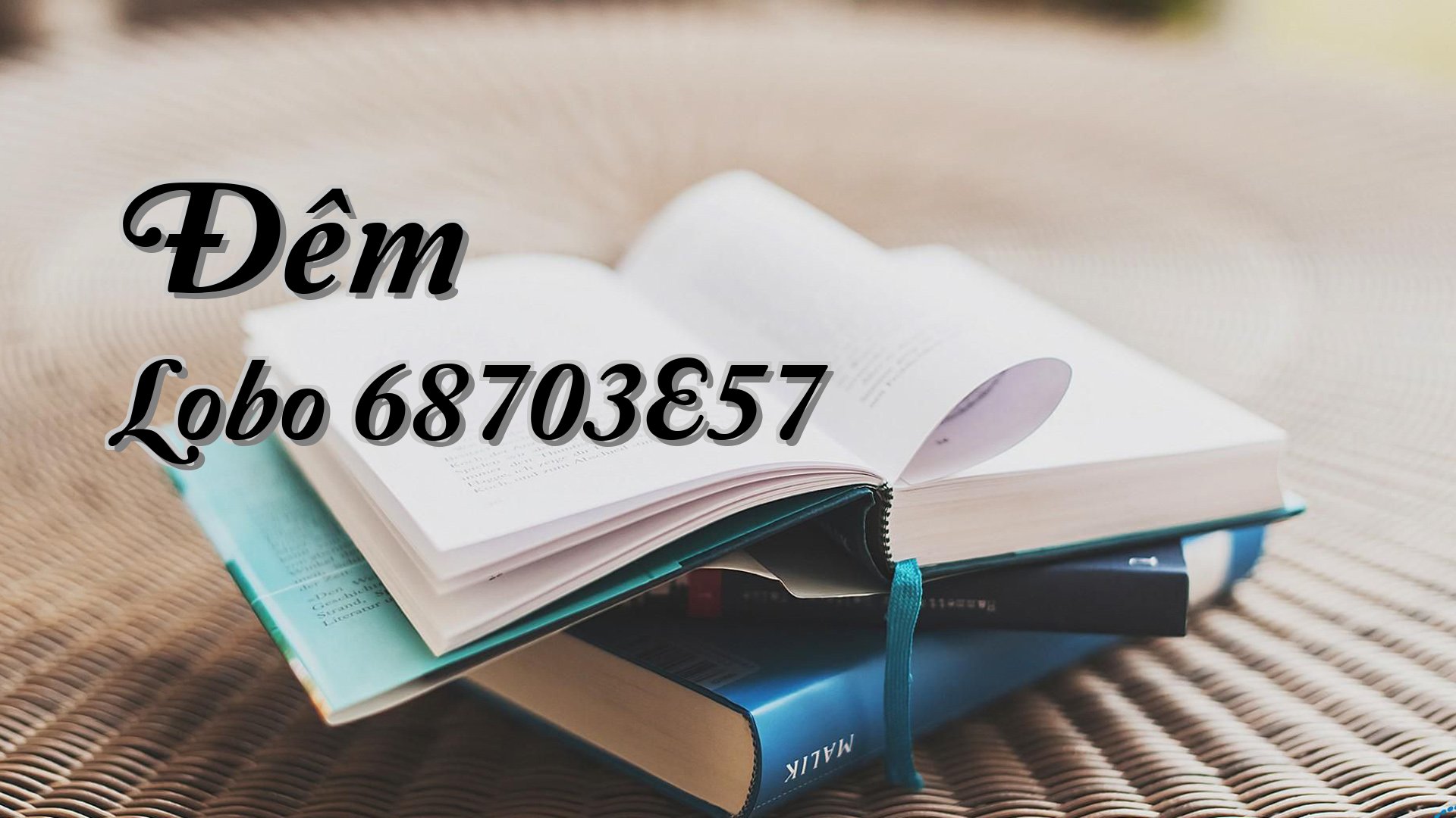 cover-Đêm Lobo 68703E57