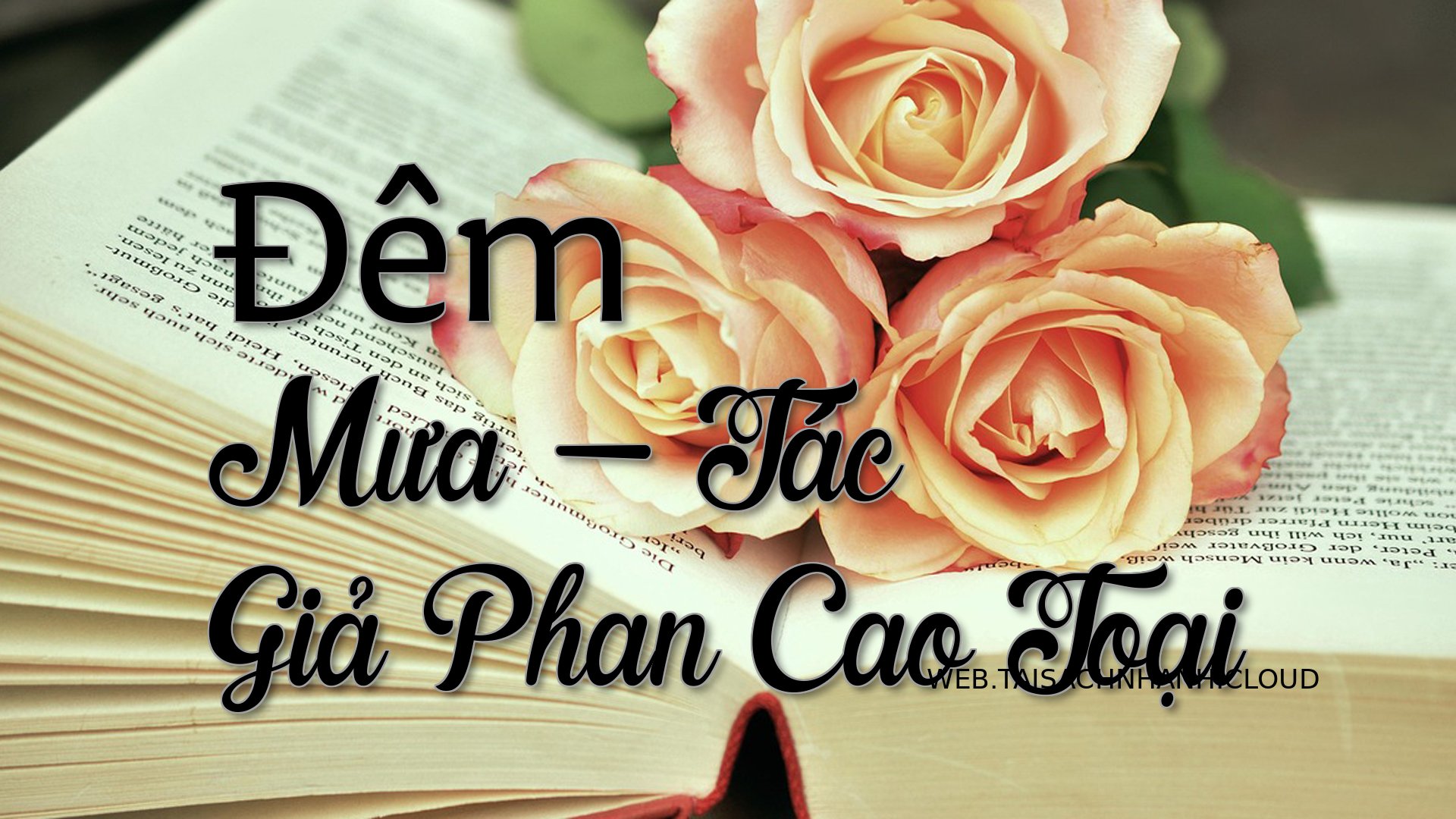 Cover Dem Mua Tu Than.jpg