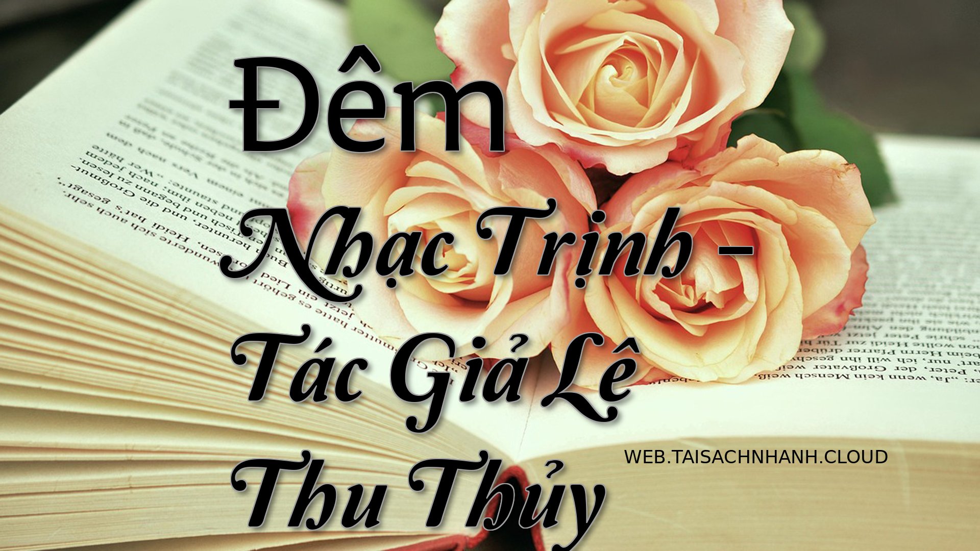 Cover Dem Nhac Trinh.jpg