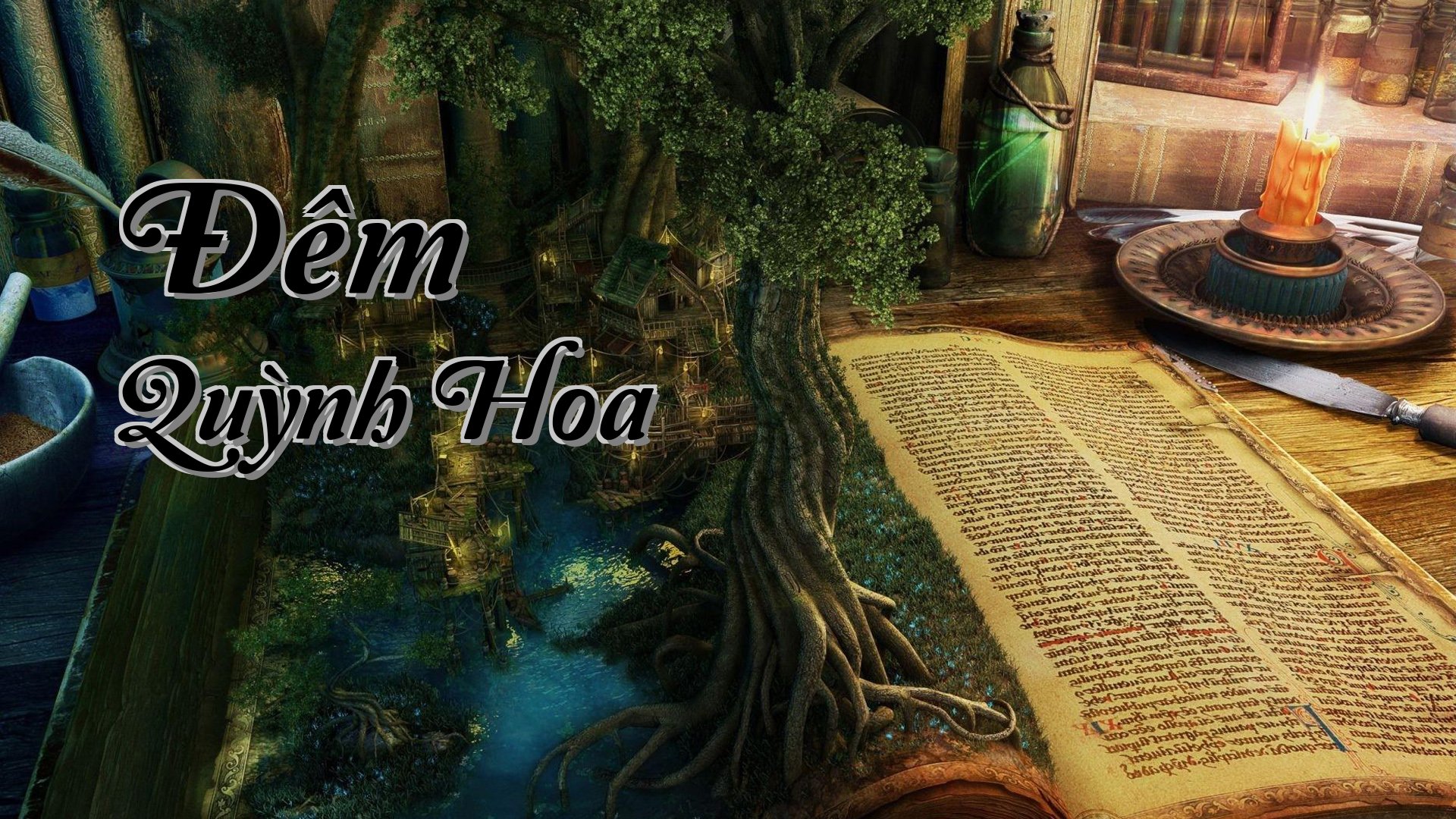 cover-Đêm Quỳnh Hoa