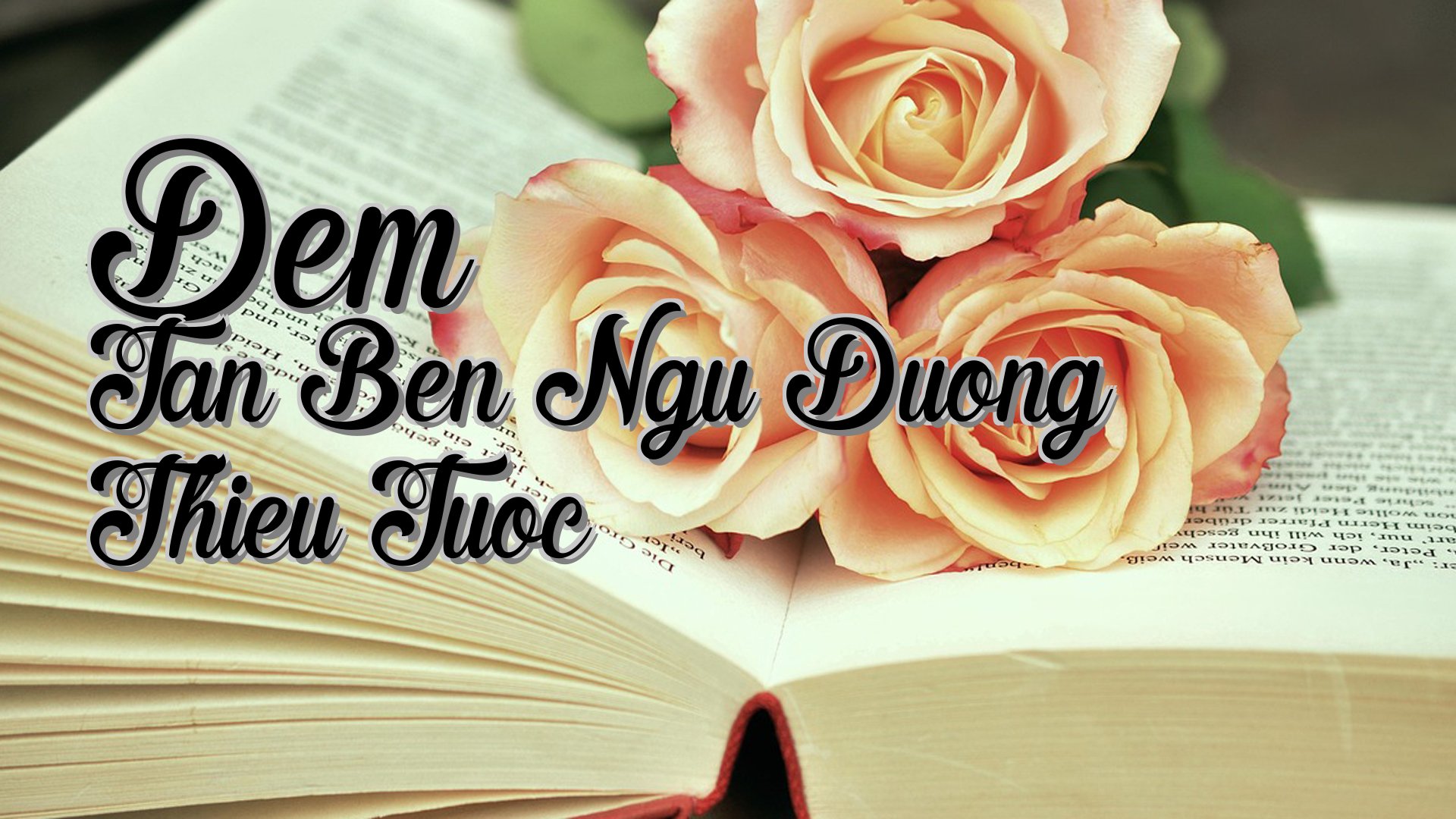 cover-Dem Tan Ben Ngu Duong Thieu Tuoc