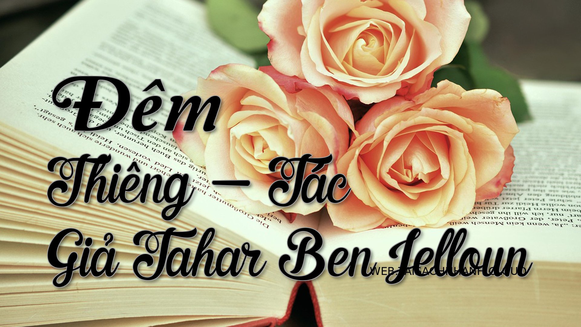 Cover Dem Thieng.jpg