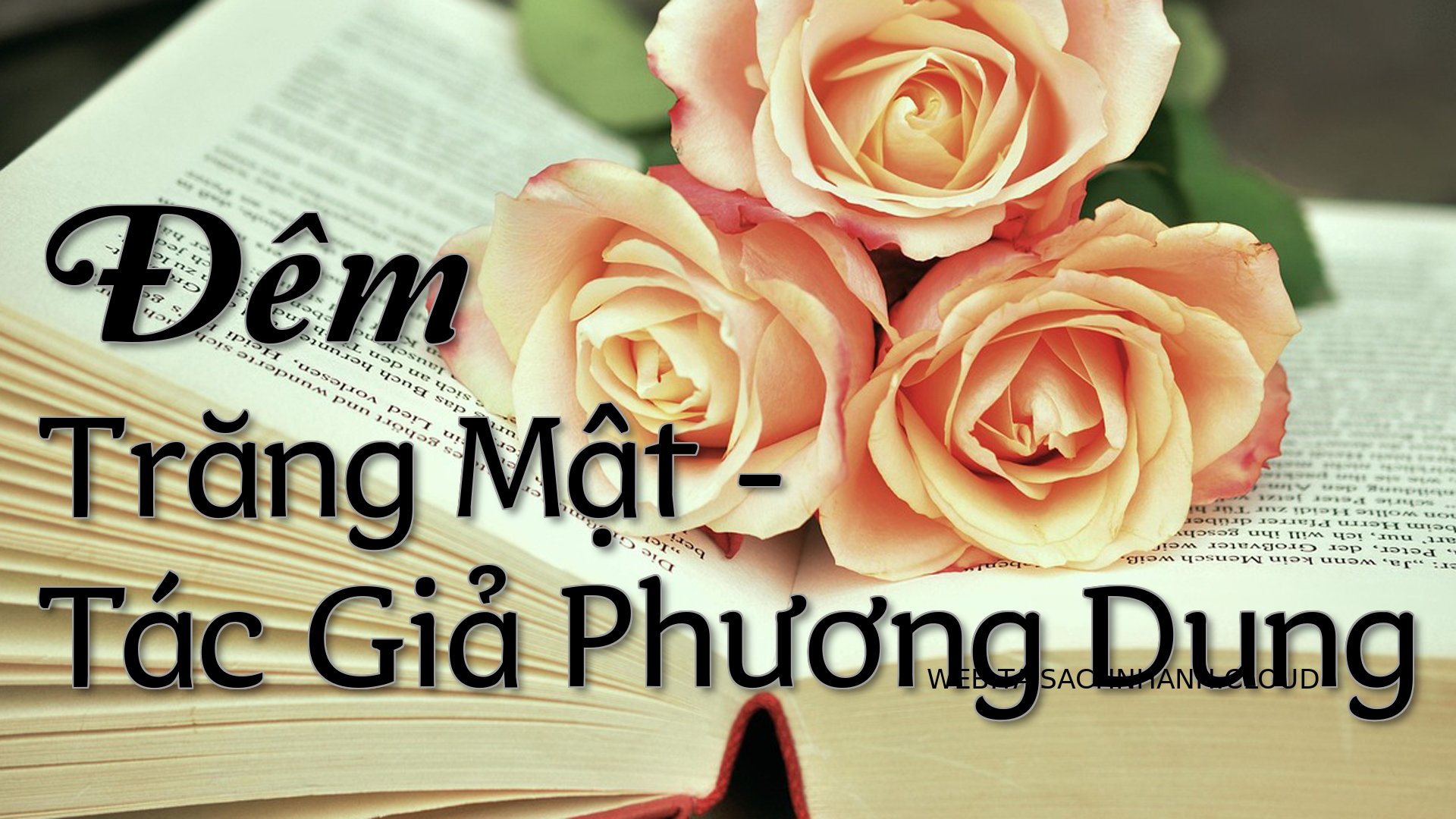 Cover Dem Trang Mat.jpg