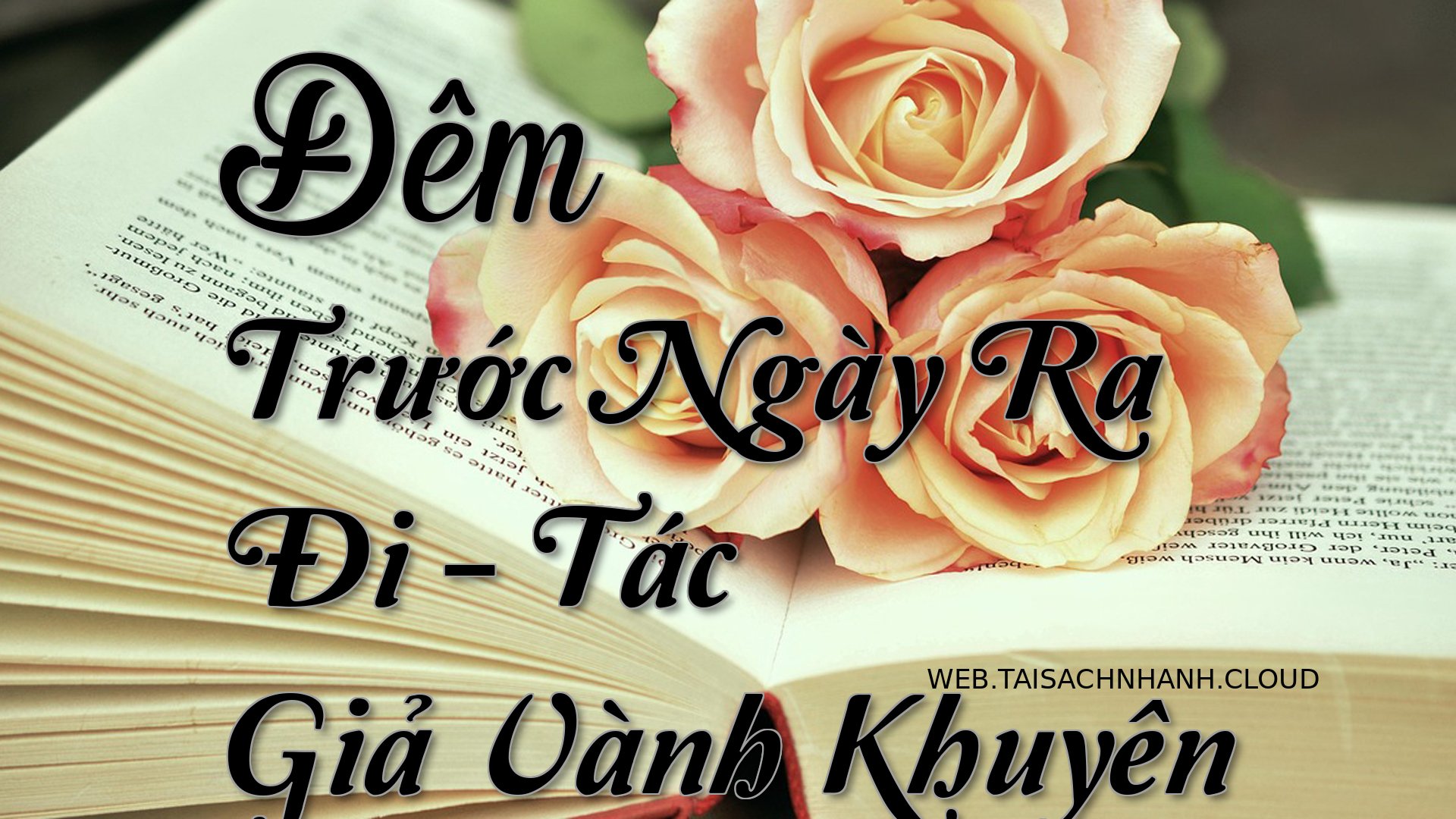 Cover Dem Truoc Ngay Ra Di.jpg