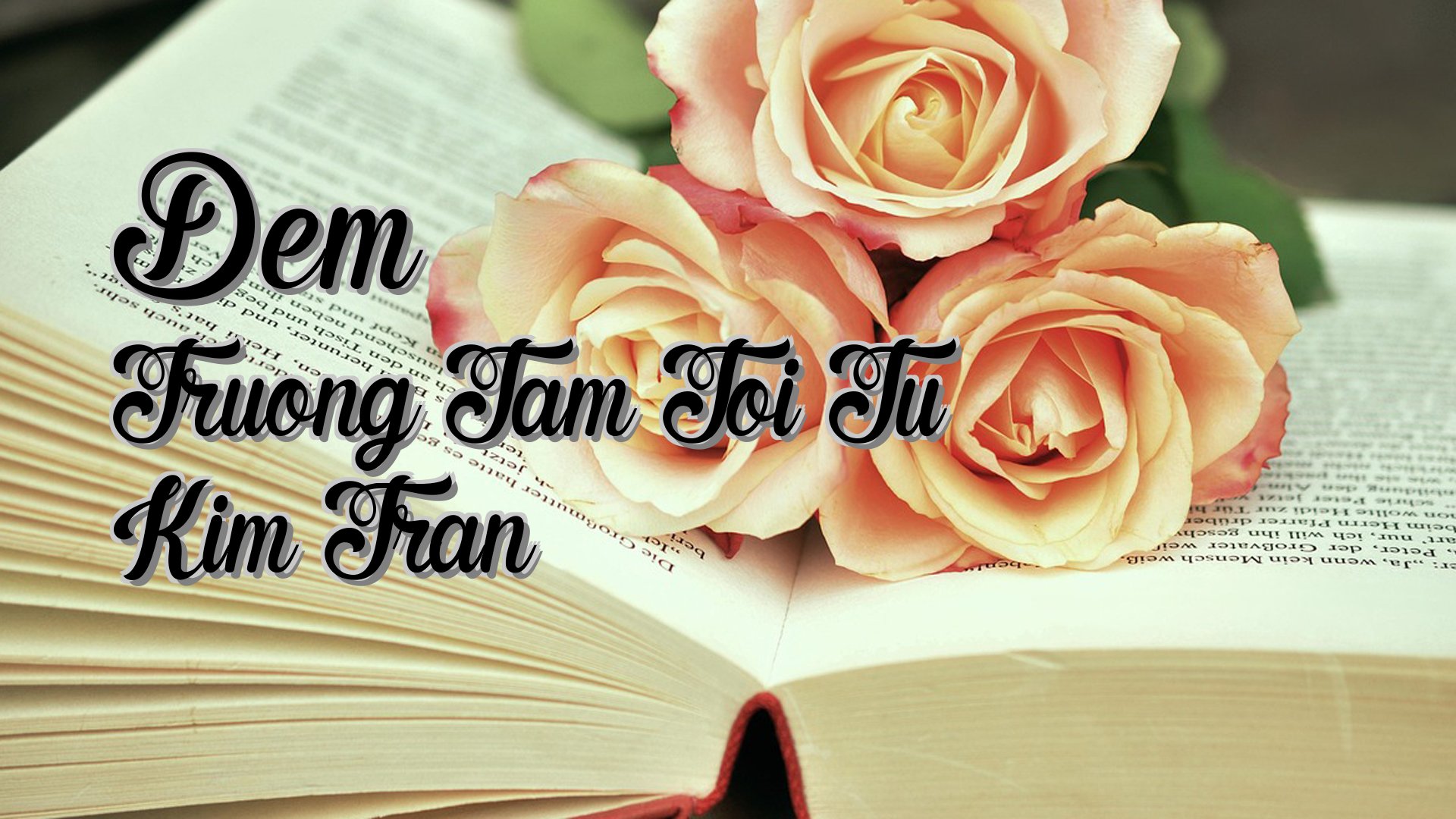 Cover image for Dem Truong Tam Toi Tu Kim Tran