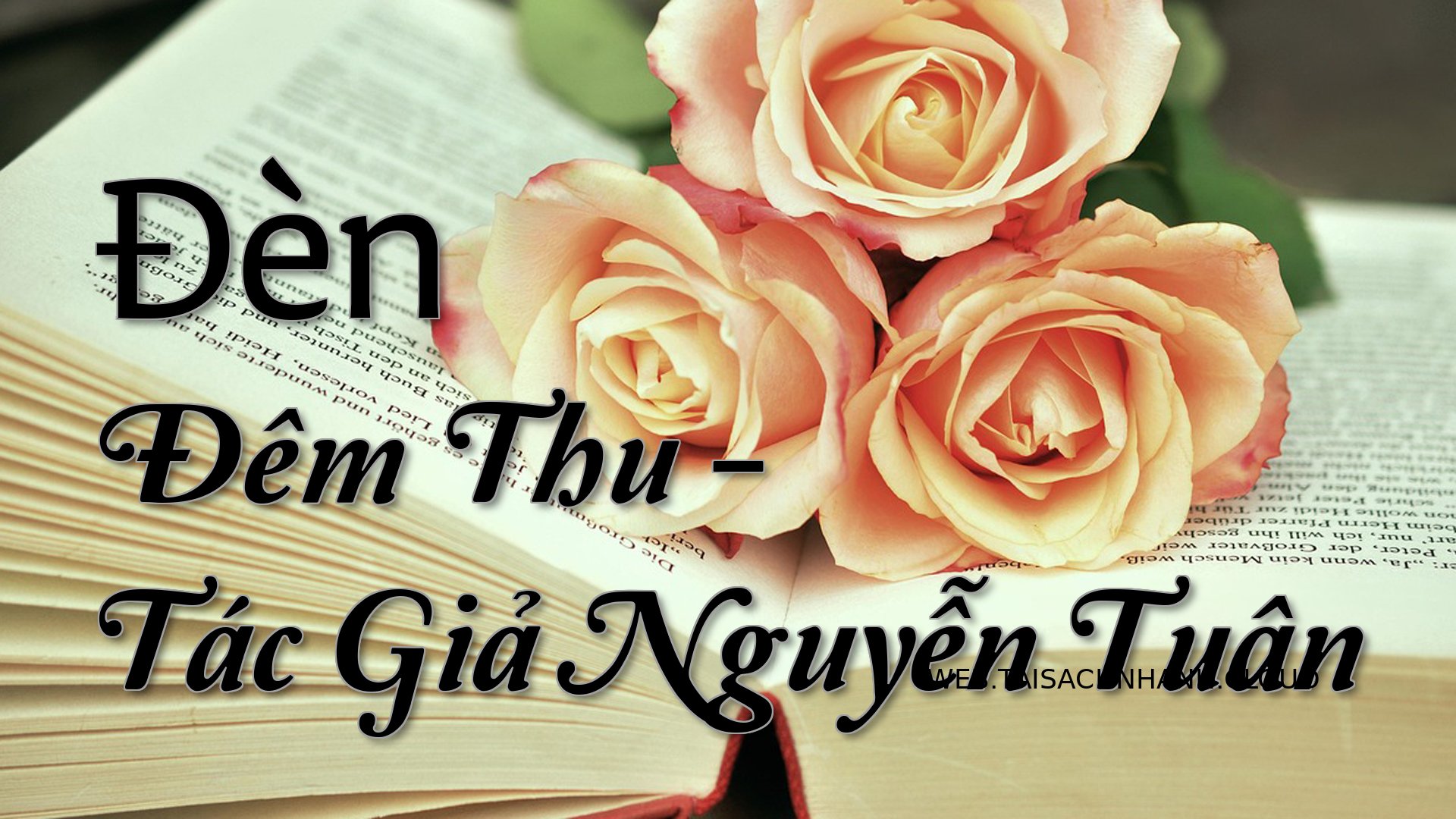 Cover Den Dem Thu.jpg