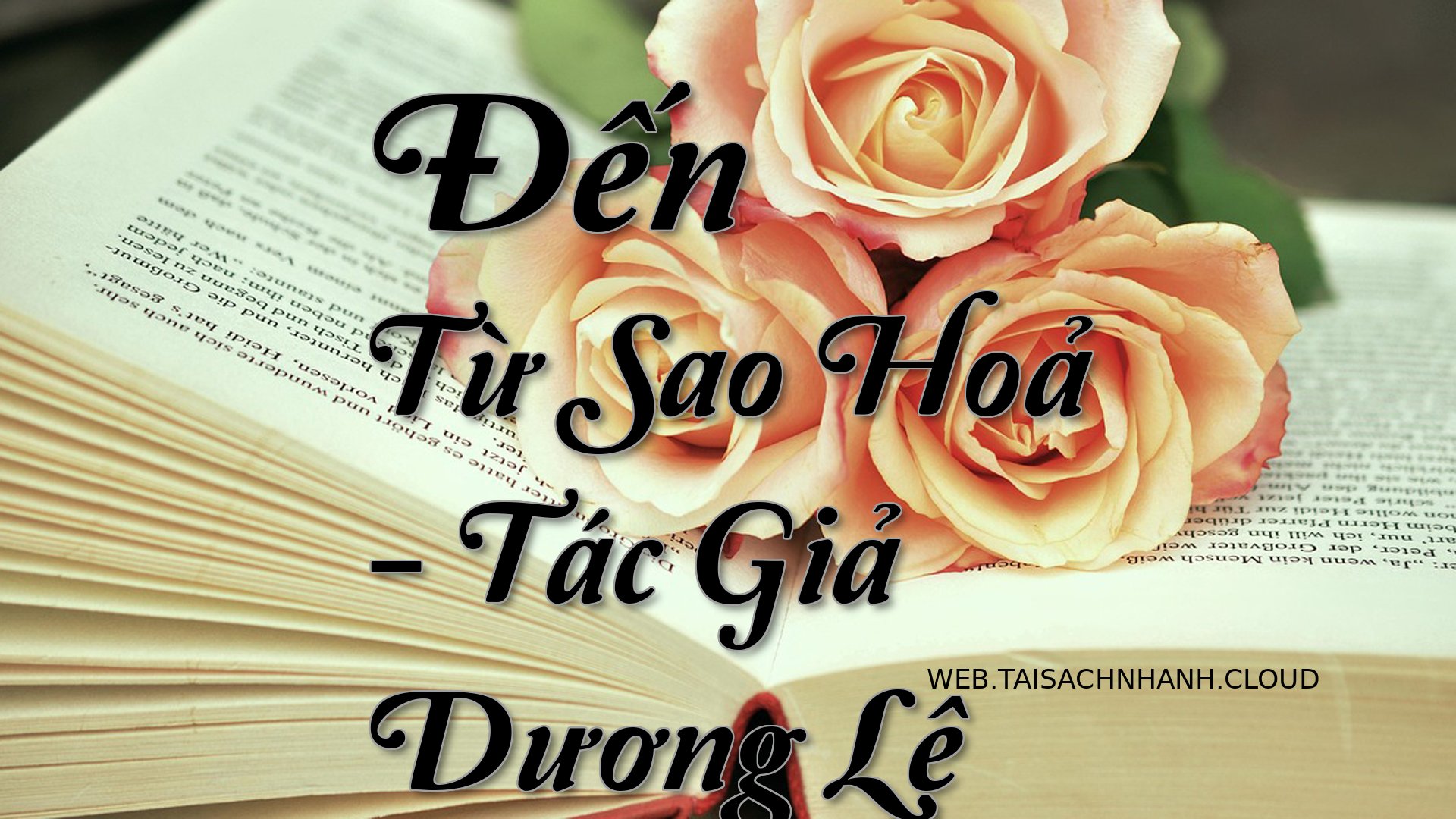 Cover Den Tu Sao Hoa.jpg