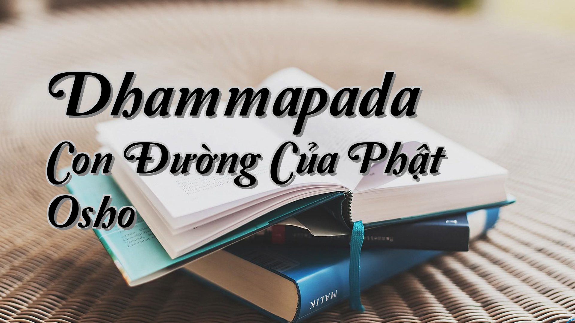 cover-Dhammapada Con Đường Của Phật Osho