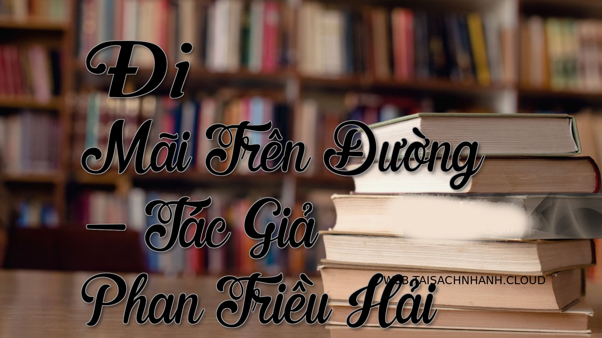 Cover Di Mai Tren Duong.jpg