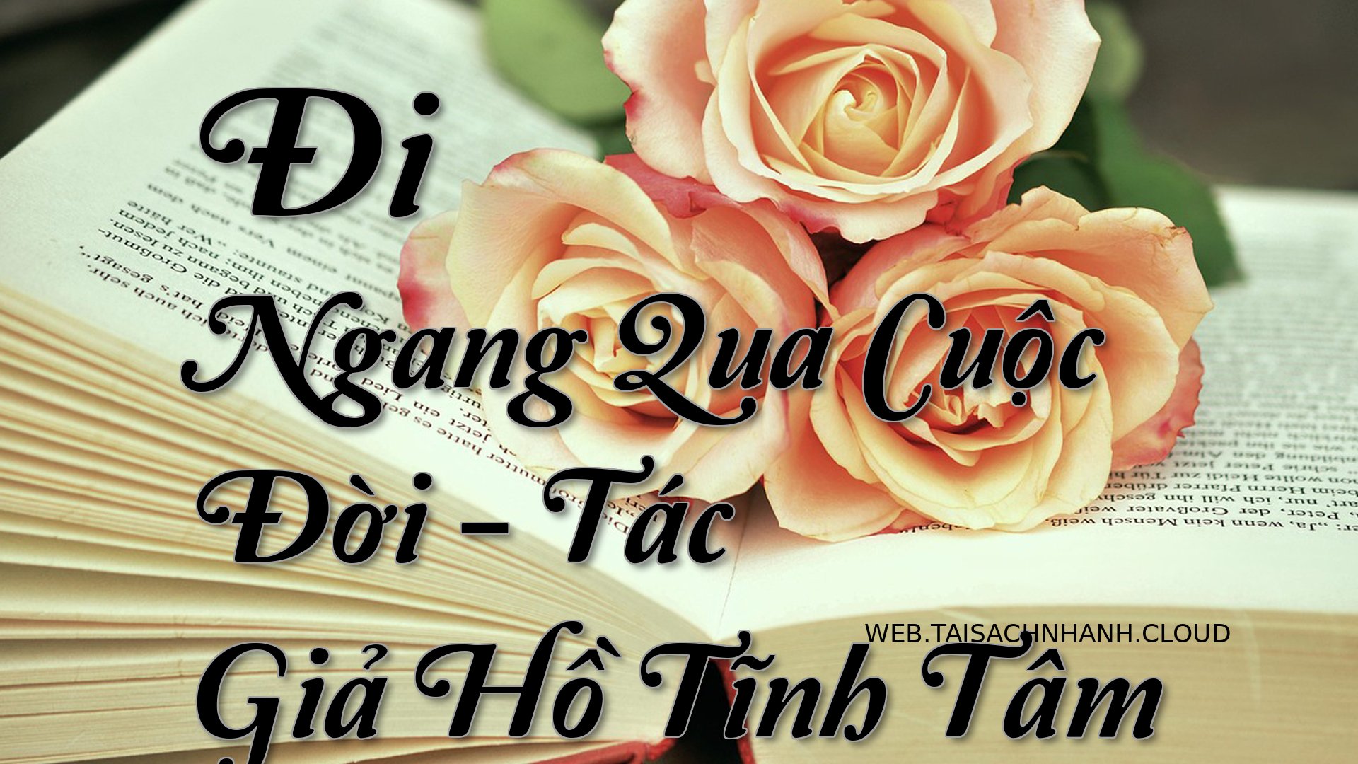 Cover Di Ngang Qua Cuoc Do.jpg