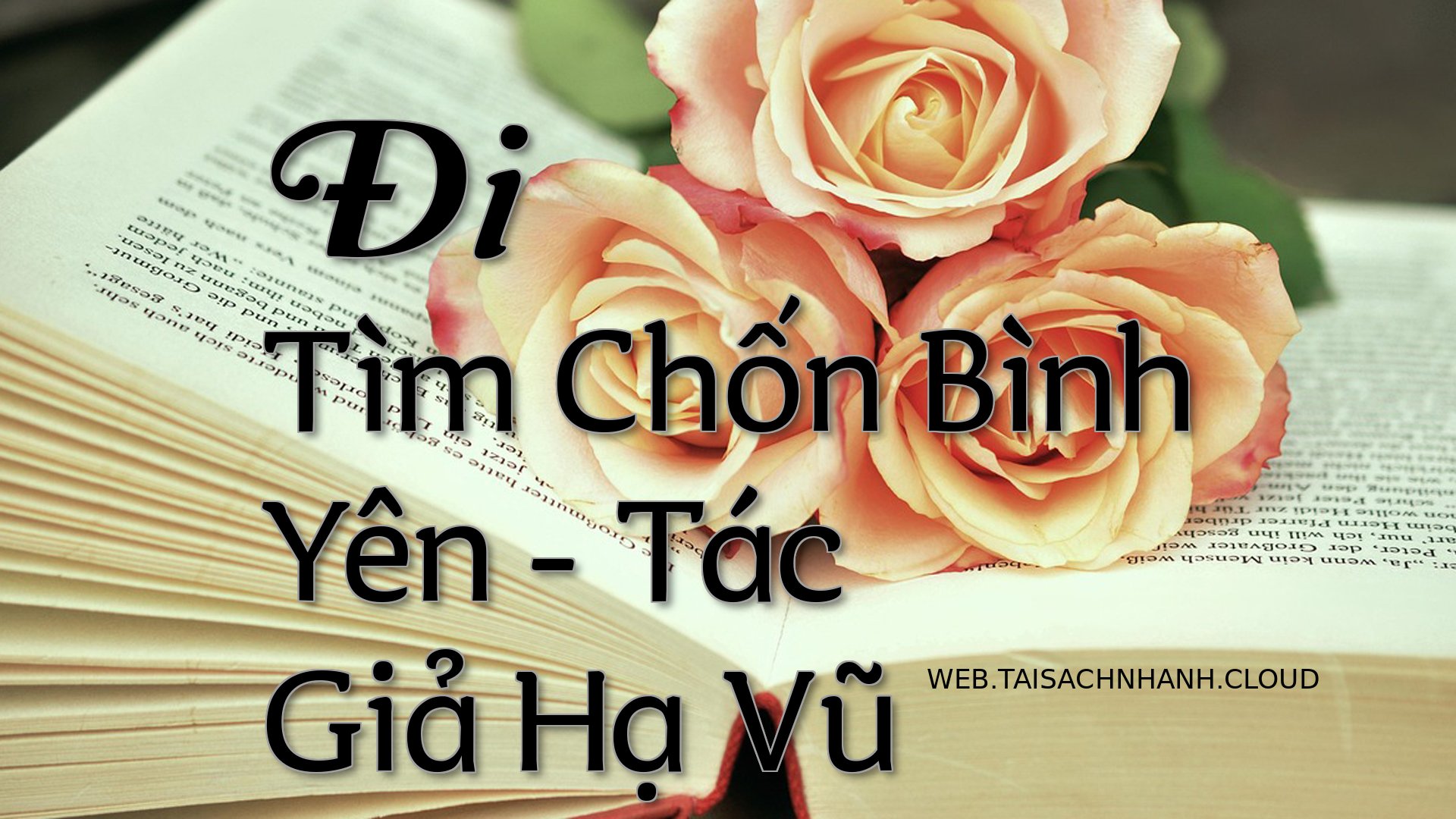 Cover Di Tim Chon Binh Yen.jpg