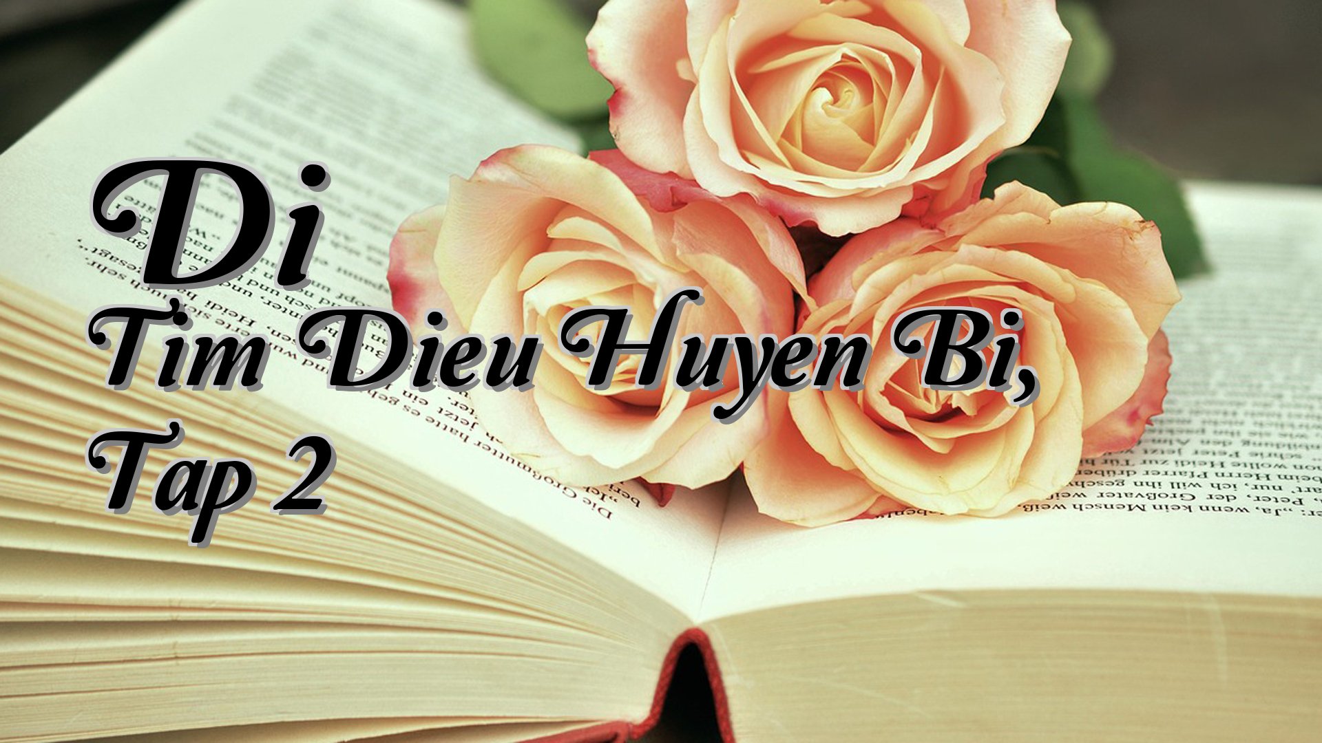 cover-Di Tim Dieu Huyen Bi, Tap 2
