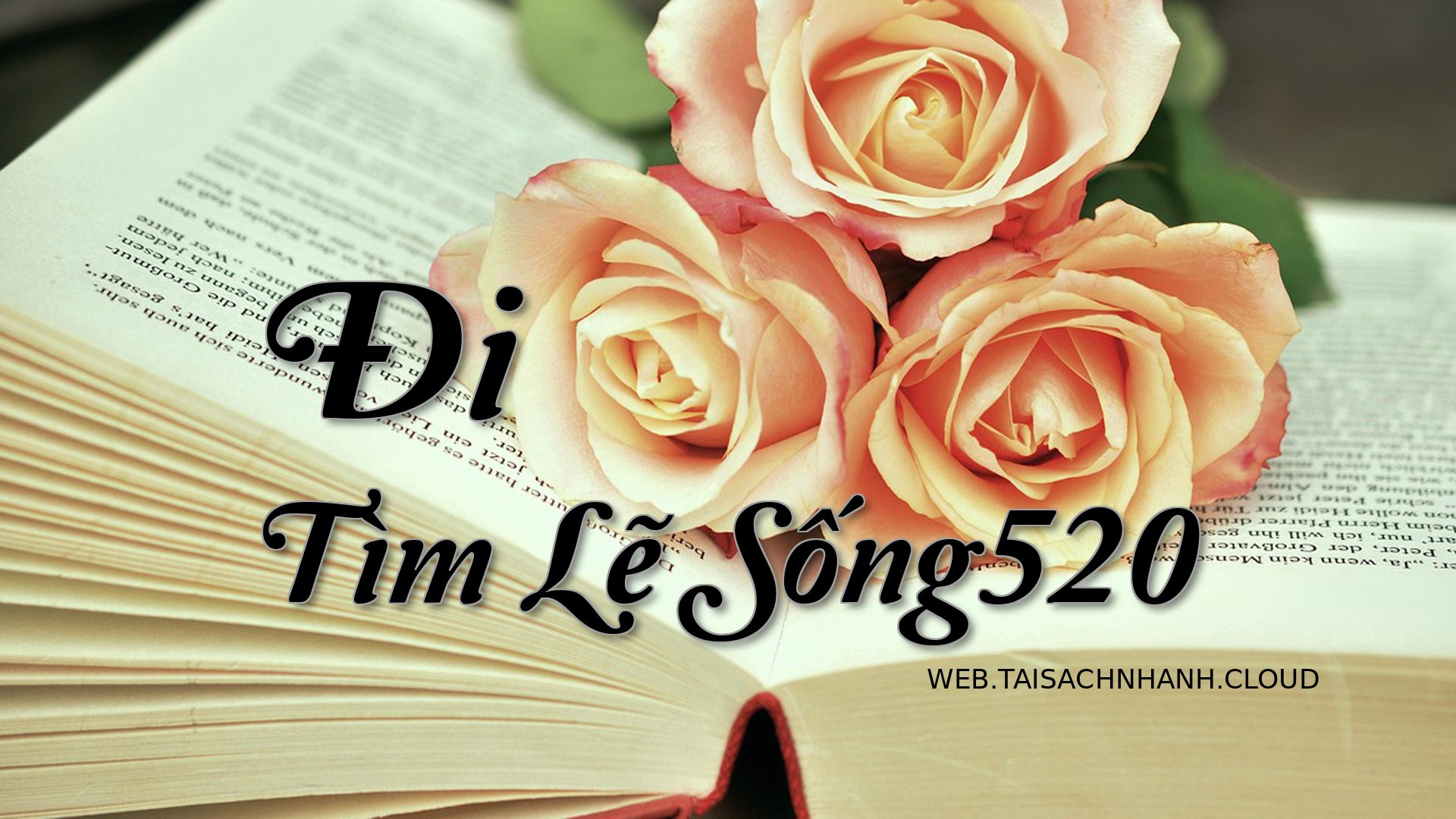 Cover Di Tim Le Song520.jpg