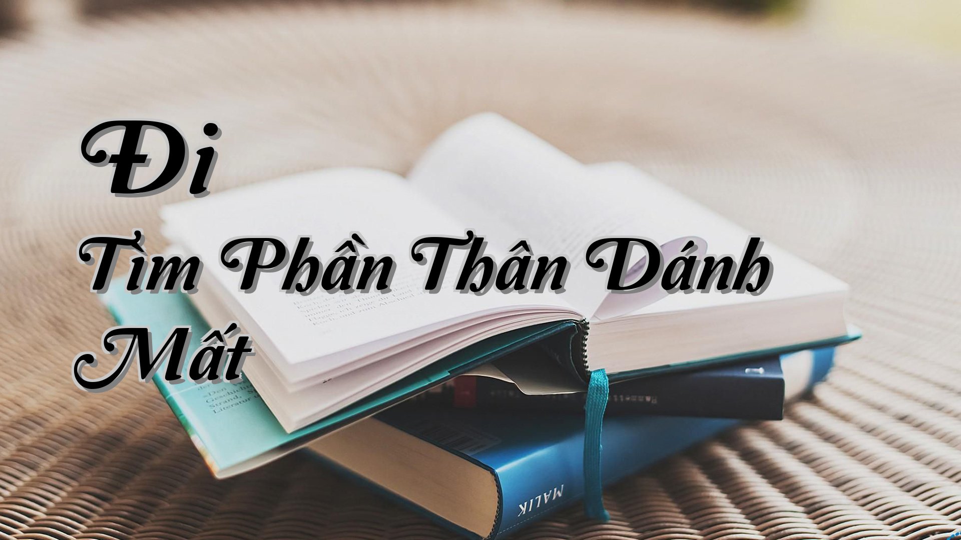 cover-Đi Tìm Phần Thân Dánh Mất