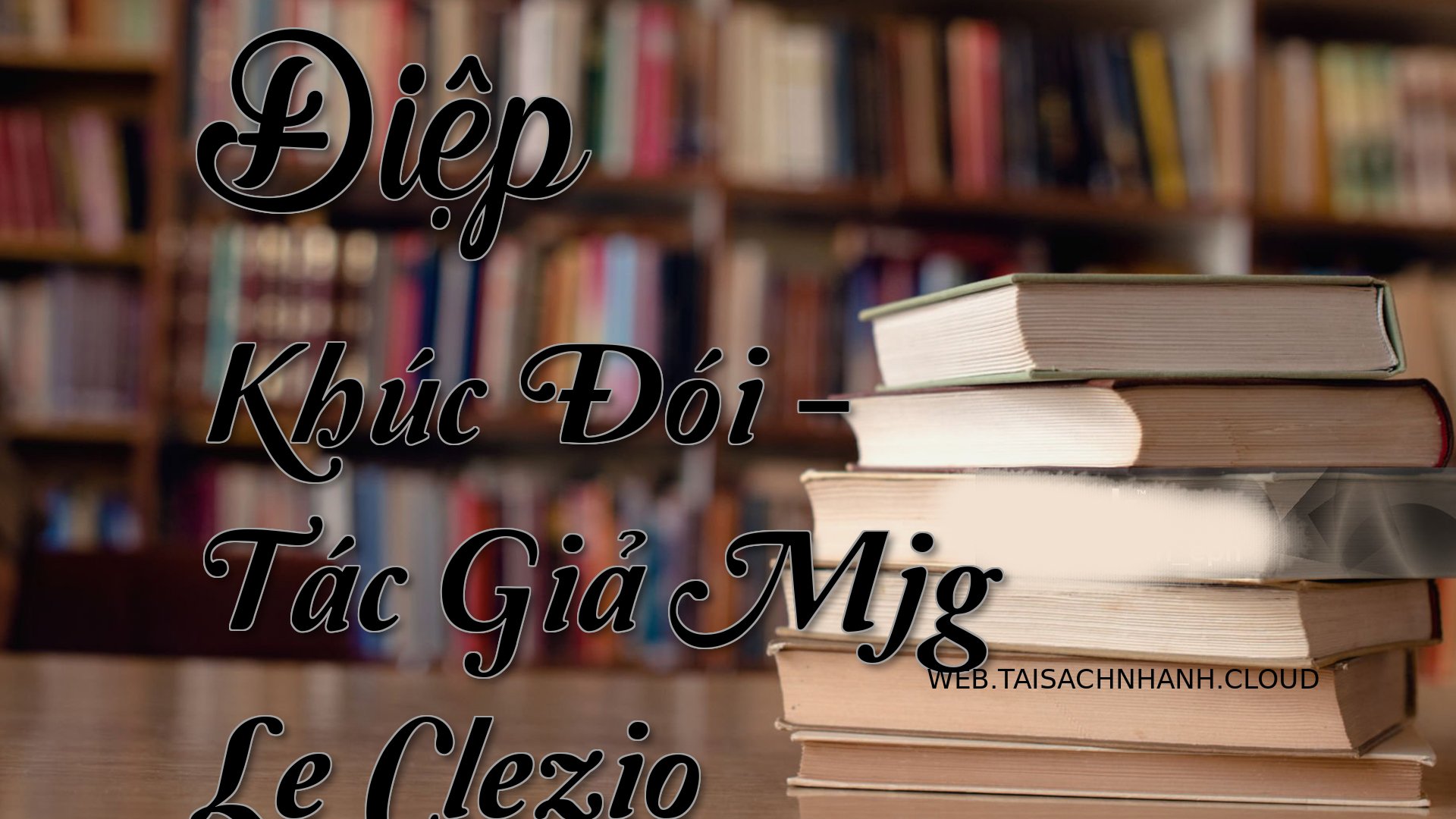 Cover Diep Khuc Doi.jpg