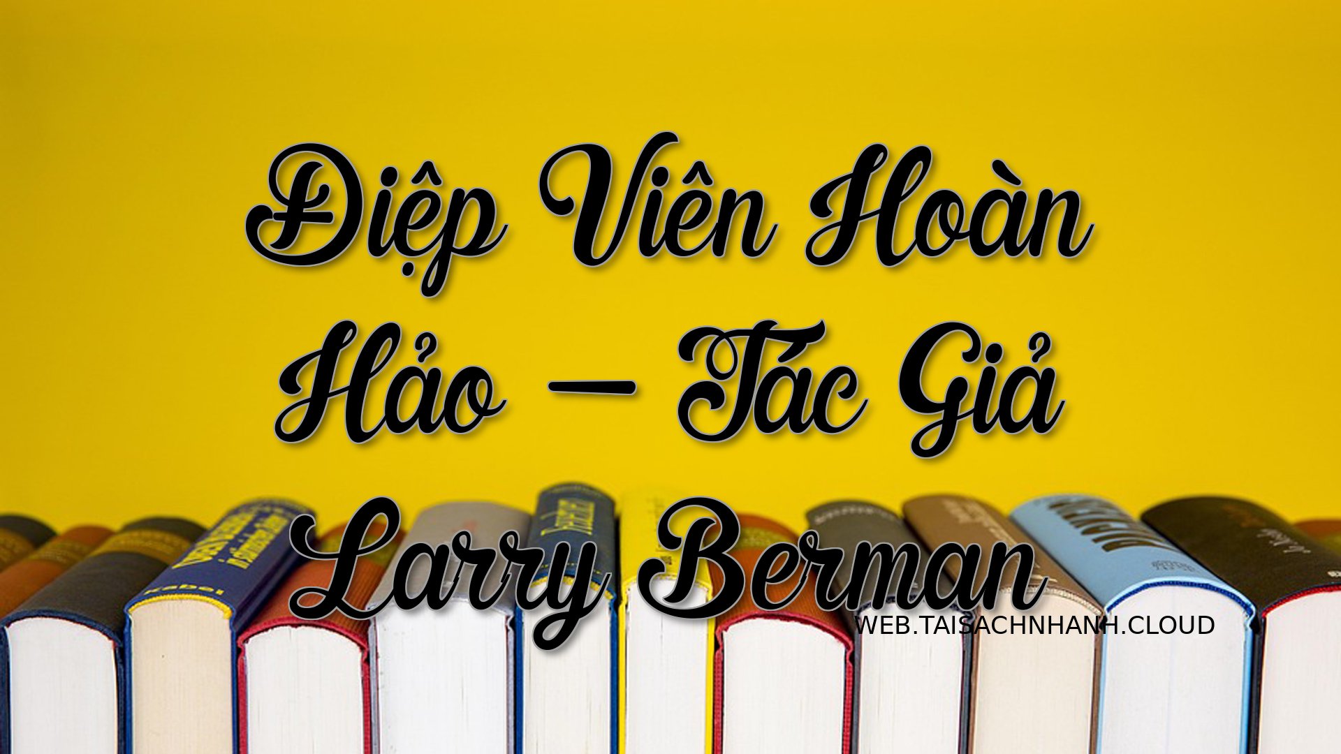 Cover Diep Vien Hoan Hao.jpg