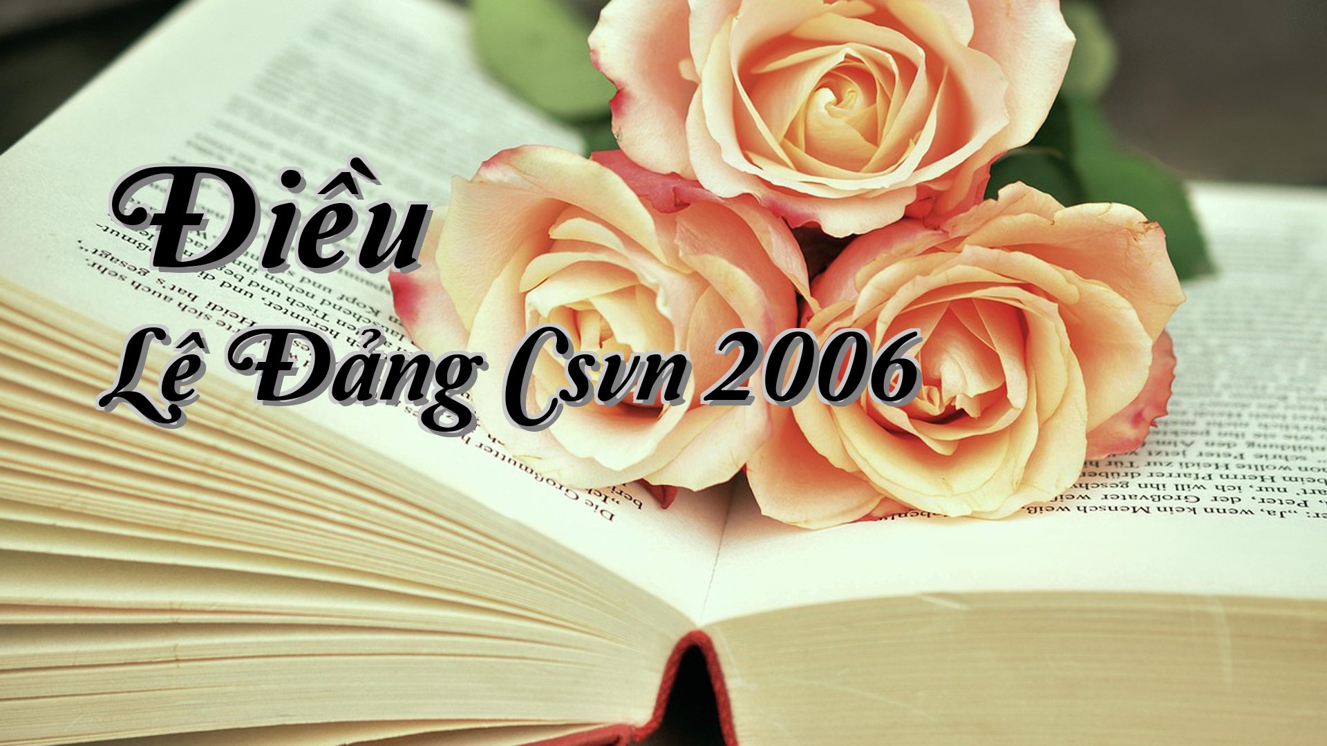 cover-Điều Lệ Đảng Csvn 2006