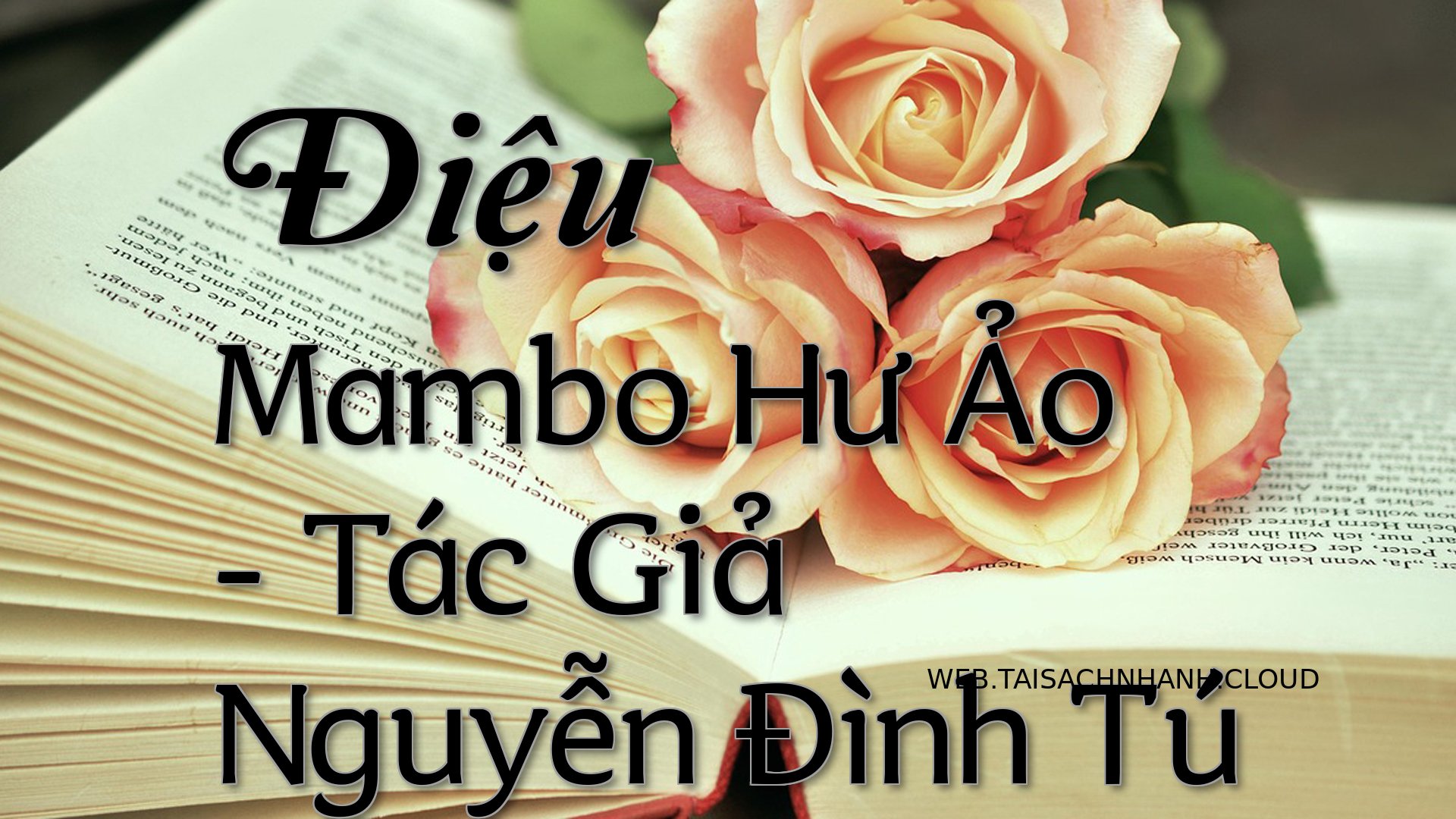 Cover Dieu Mambo Hu Ao.jpg