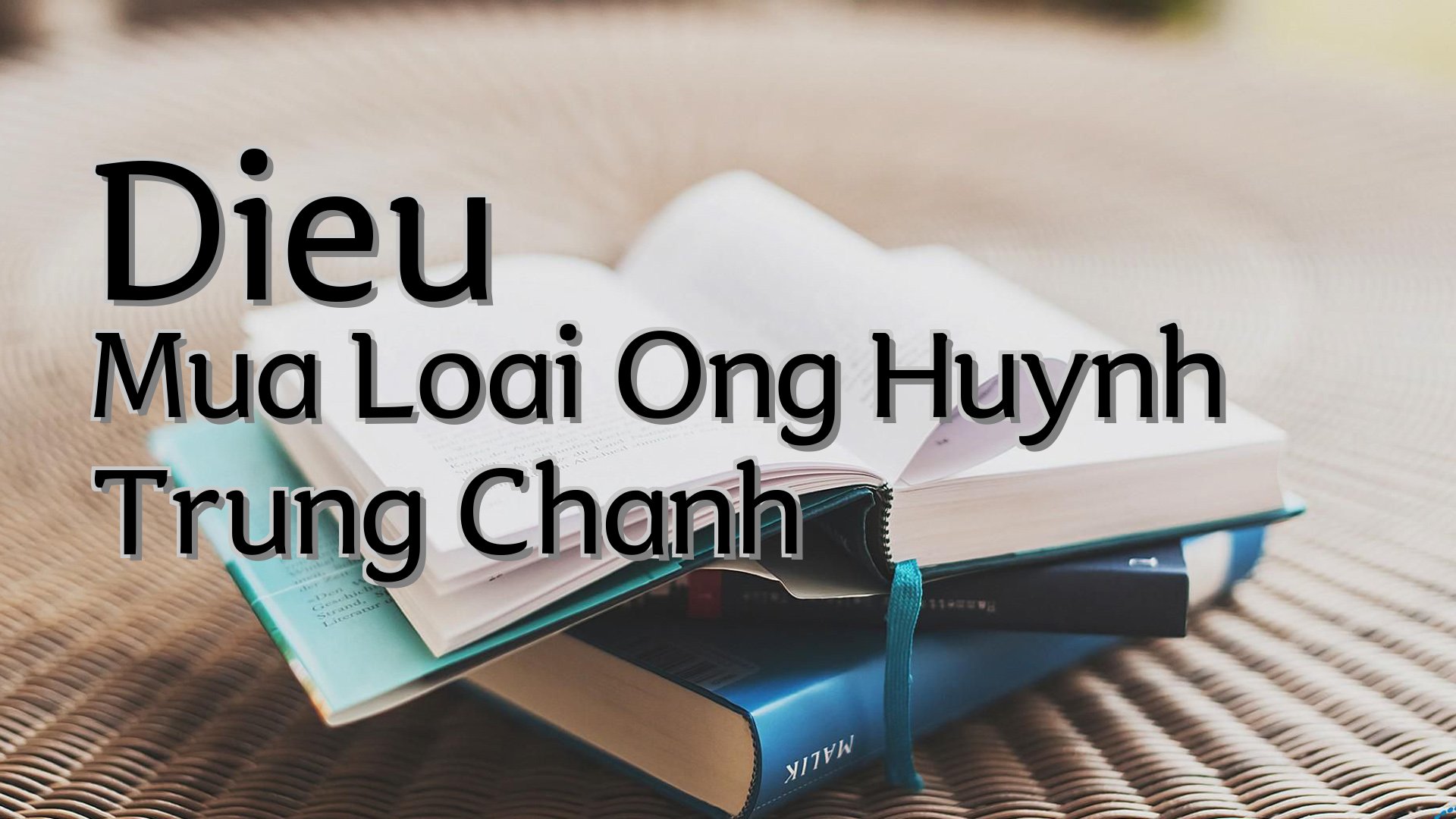 cover-Dieu Mua Loai Ong Huynh Trung Chanh