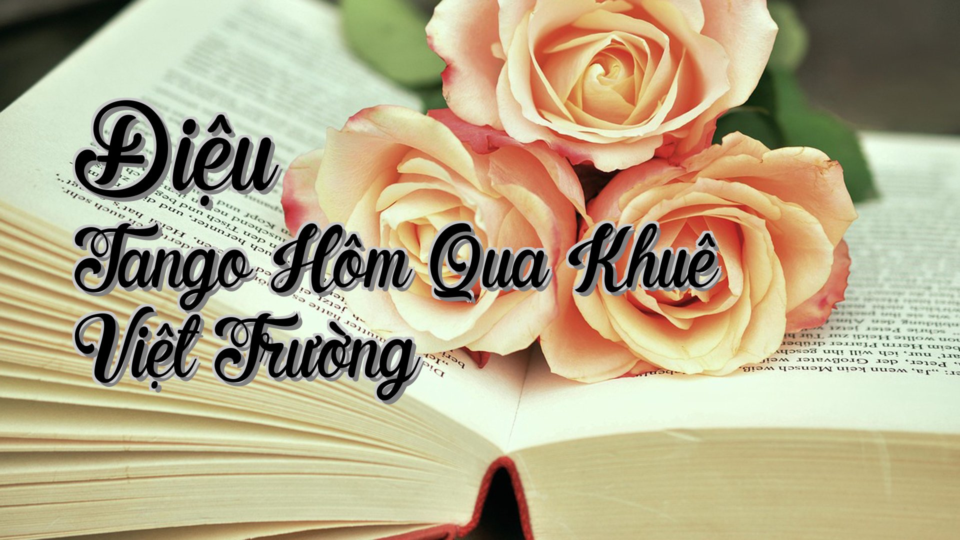 cover-Điệu Tango Hôm Qua Khuê Việt Trường