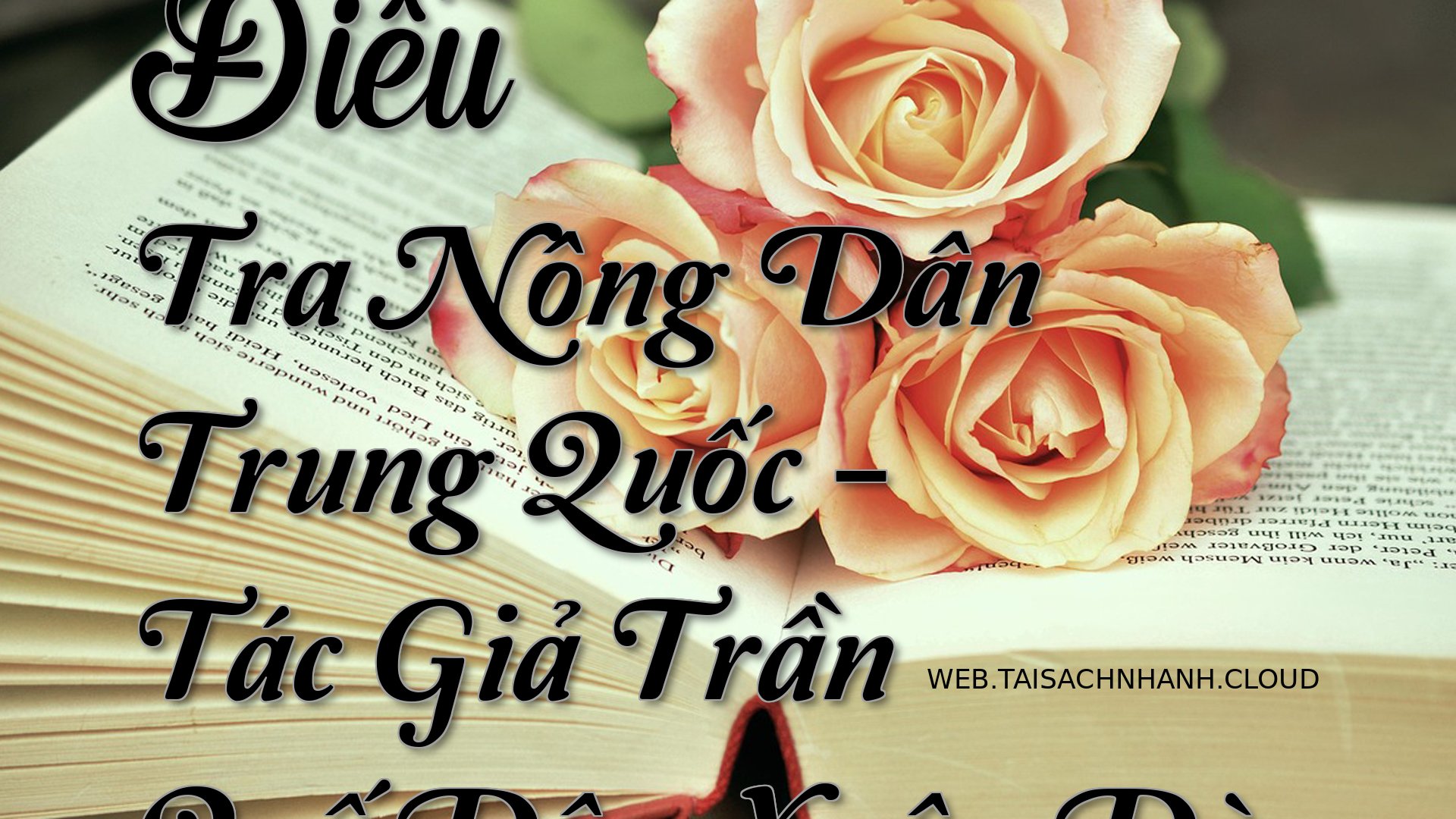 Cover Dieu Tra Nong Dan Tr.jpg