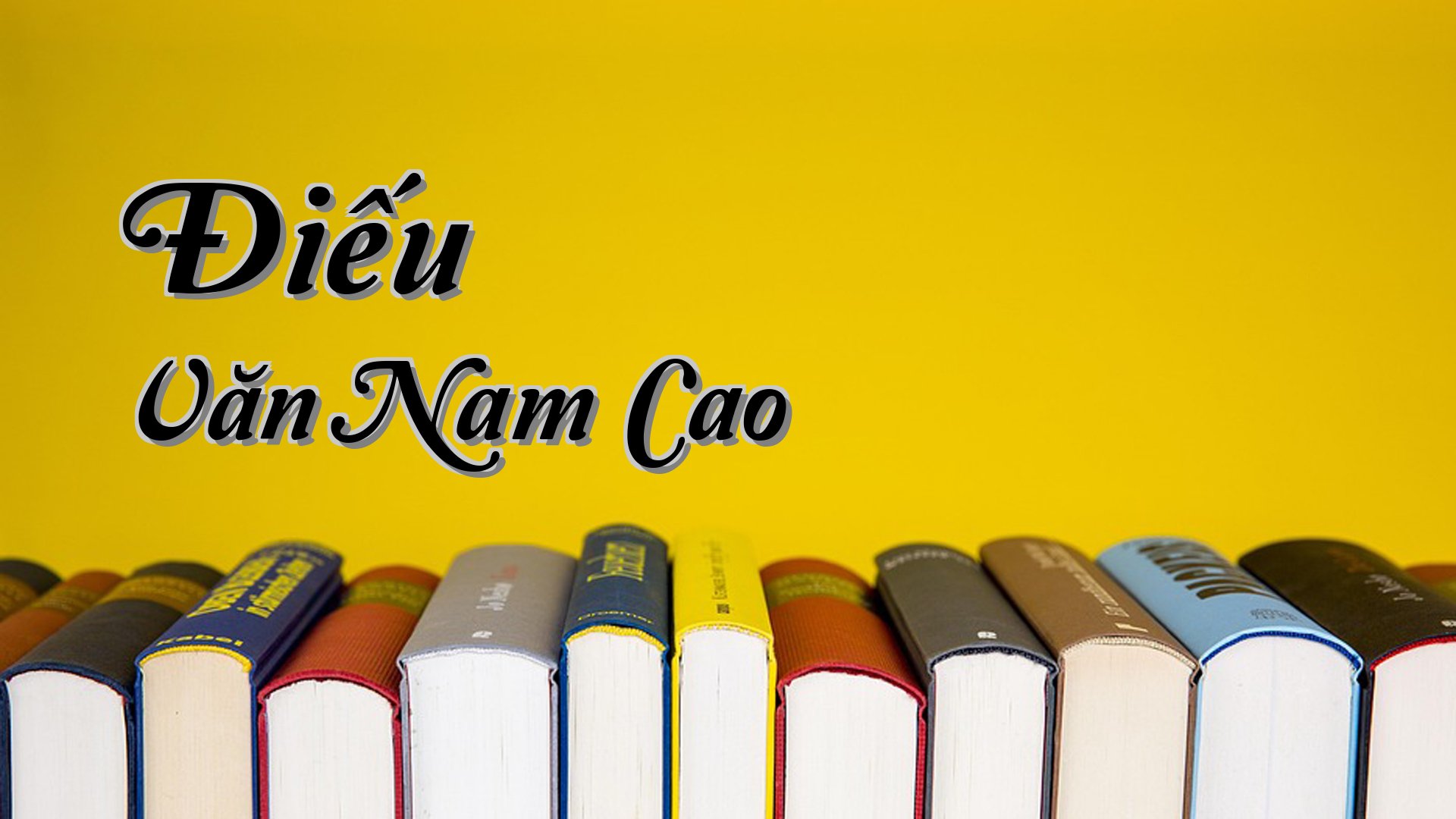 cover-Điếu Văn Nam Cao