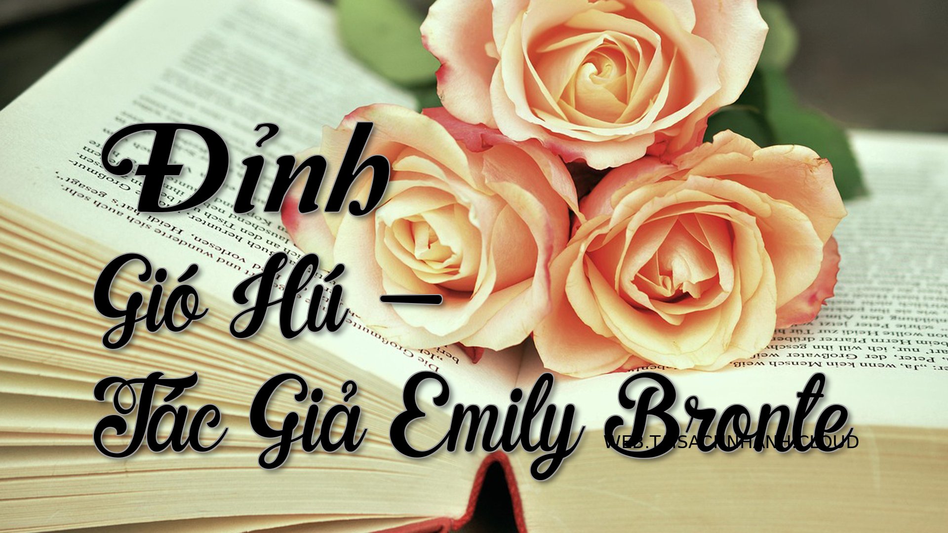 Cover Dinh Gio Hu.jpg