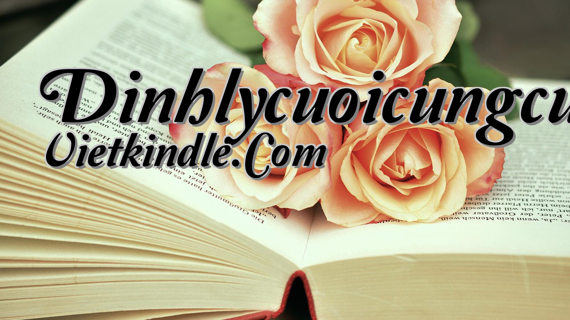 cover-Dinhlycuoicungcuafermat Vietkindle.Com