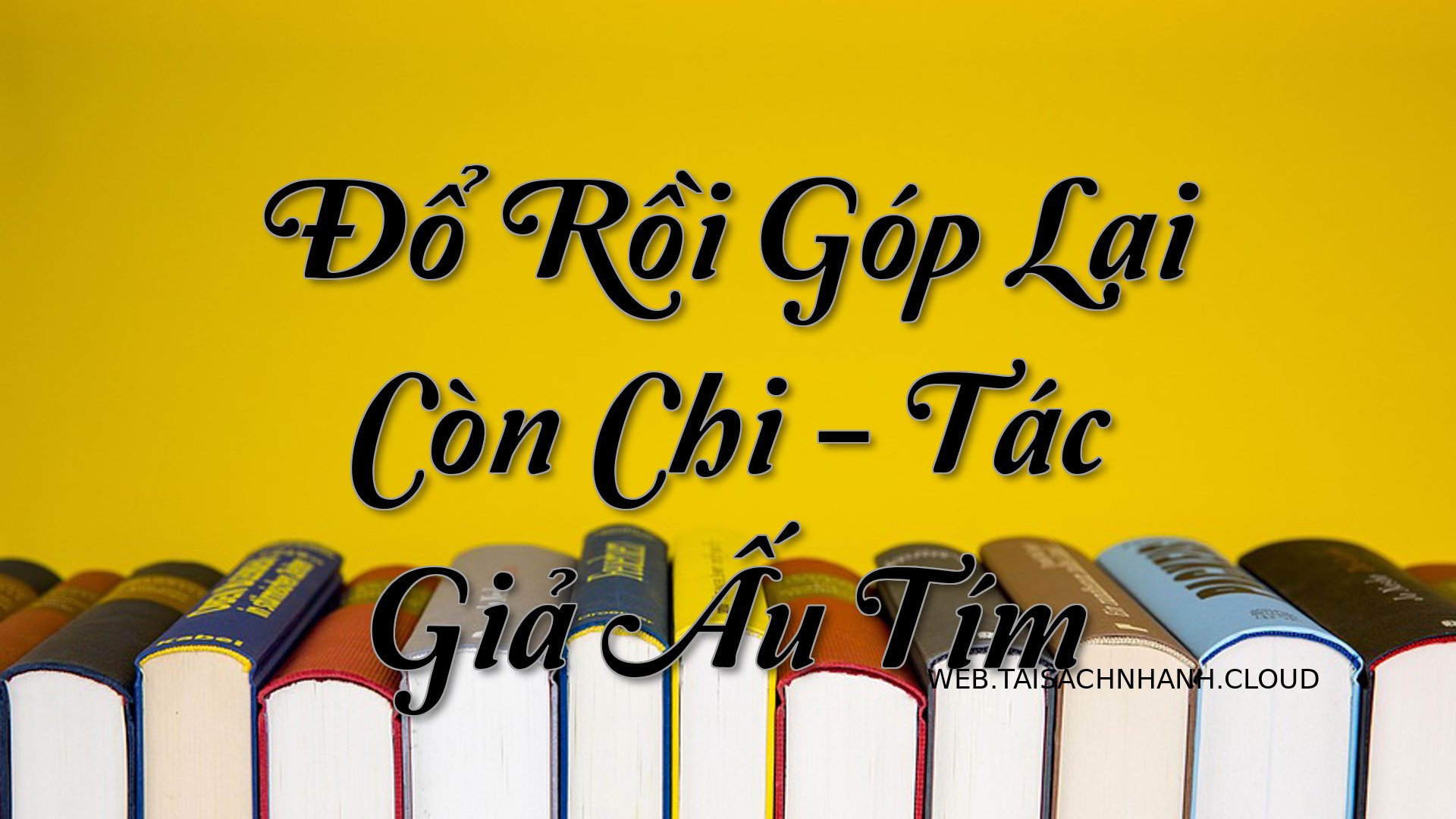 Cover Do Roi Gop Lai Con C.jpg