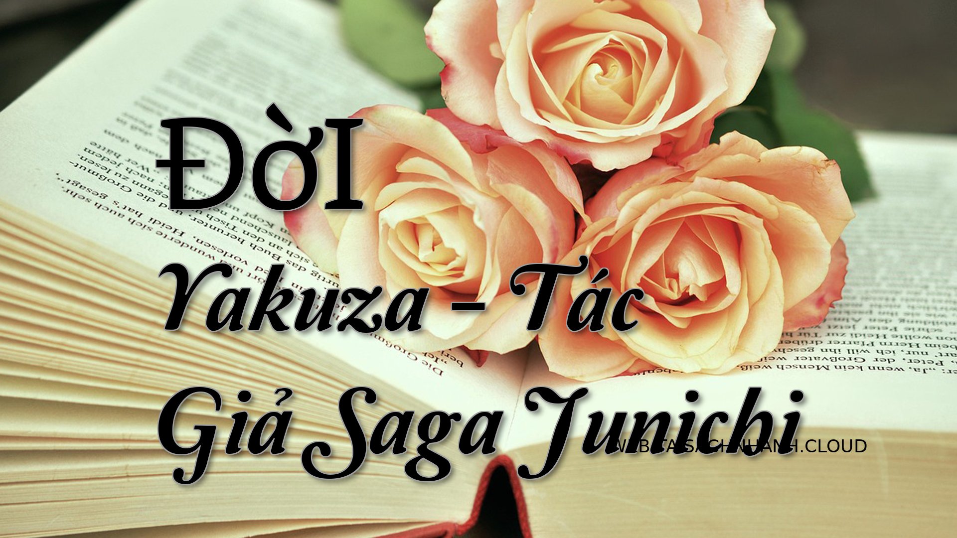 Cover DoI Yakuza.jpg