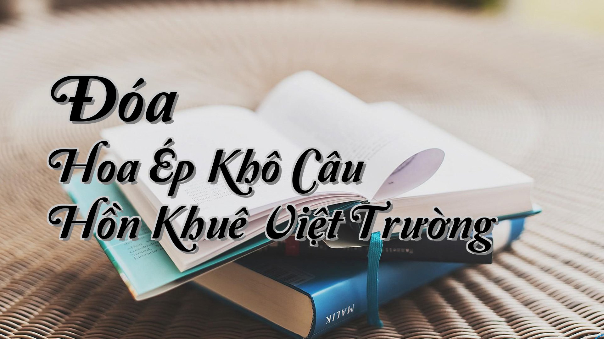 cover-Đóa Hoa Ép Khô Câu Hồn Khuê Việt Trường