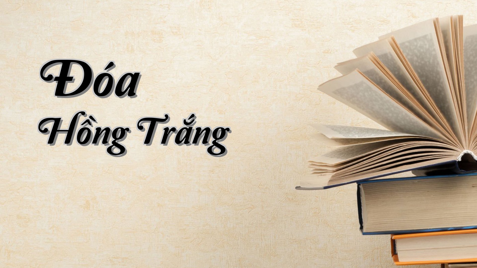 cover-Đóa Hồng Trắng