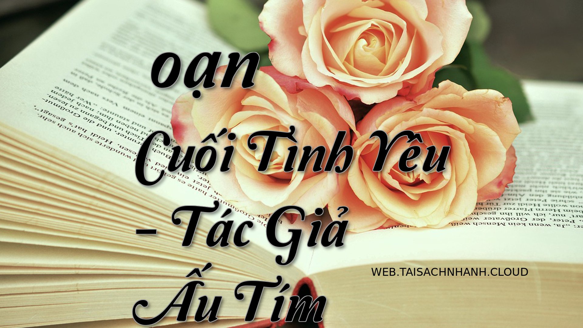 Cover Doan Cuoi Tinh Yeu.jpg