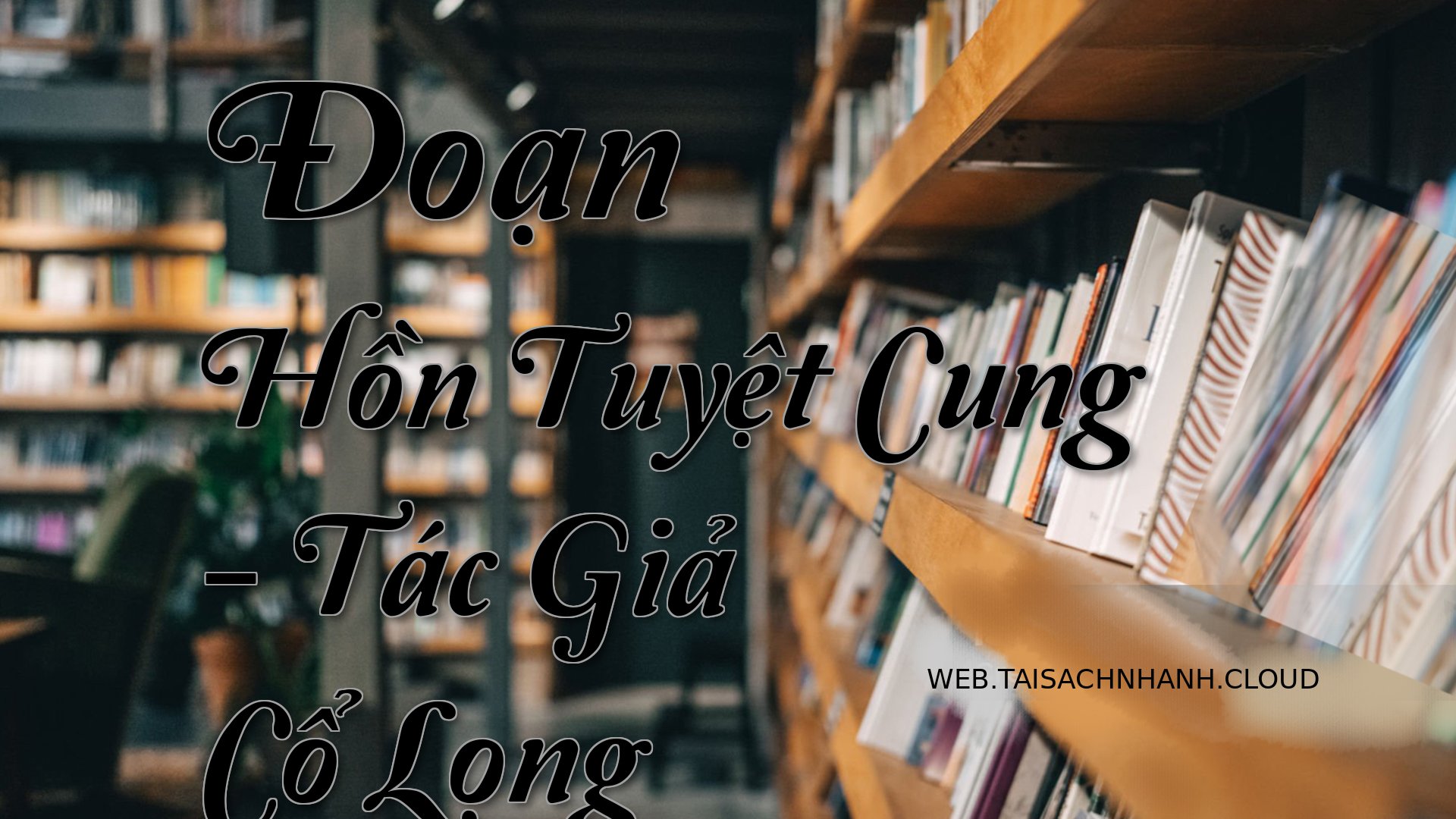 Cover Doan Hon Tuyet Cung.jpg