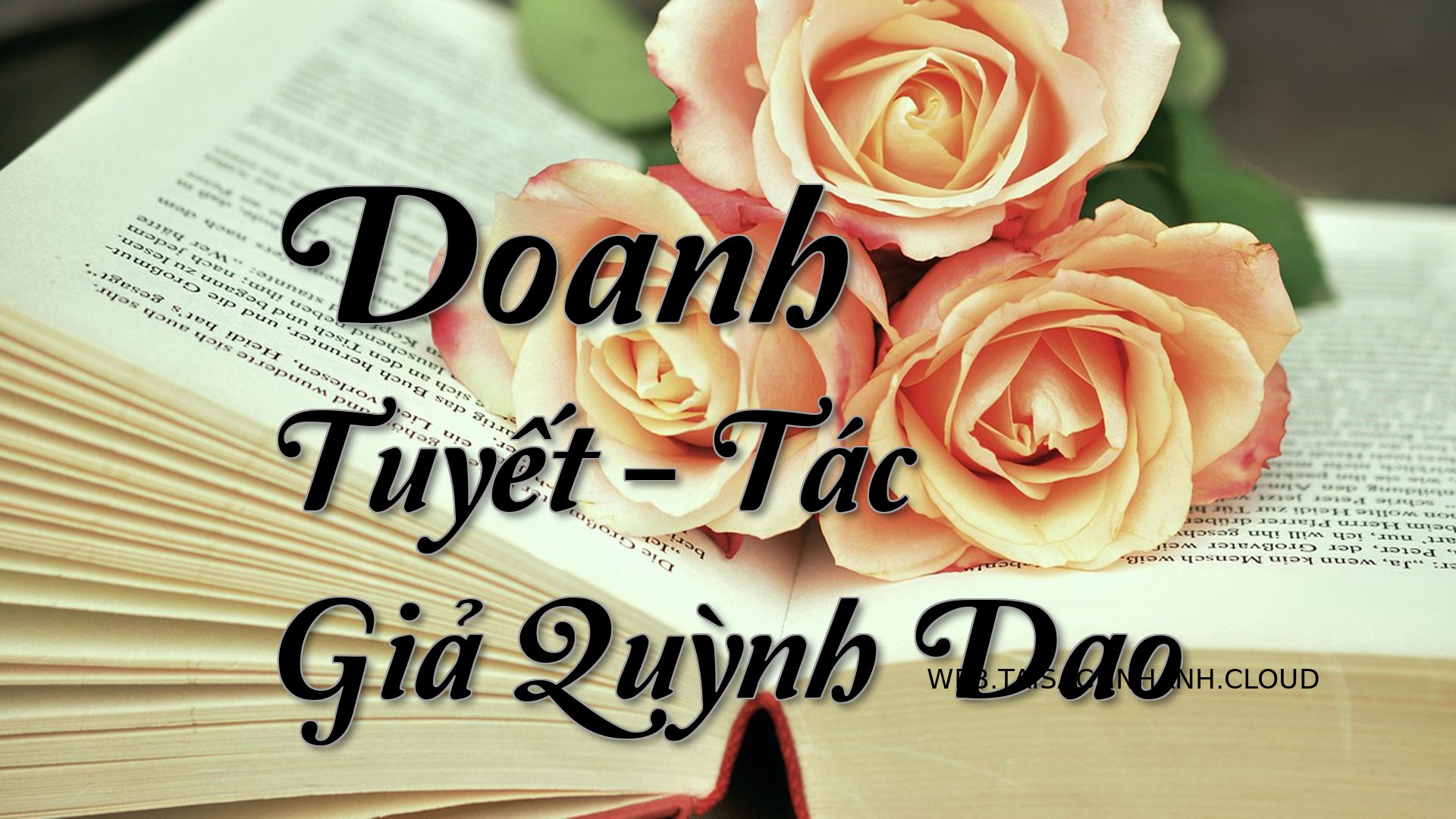 Cover Doanh Tuyet.jpg