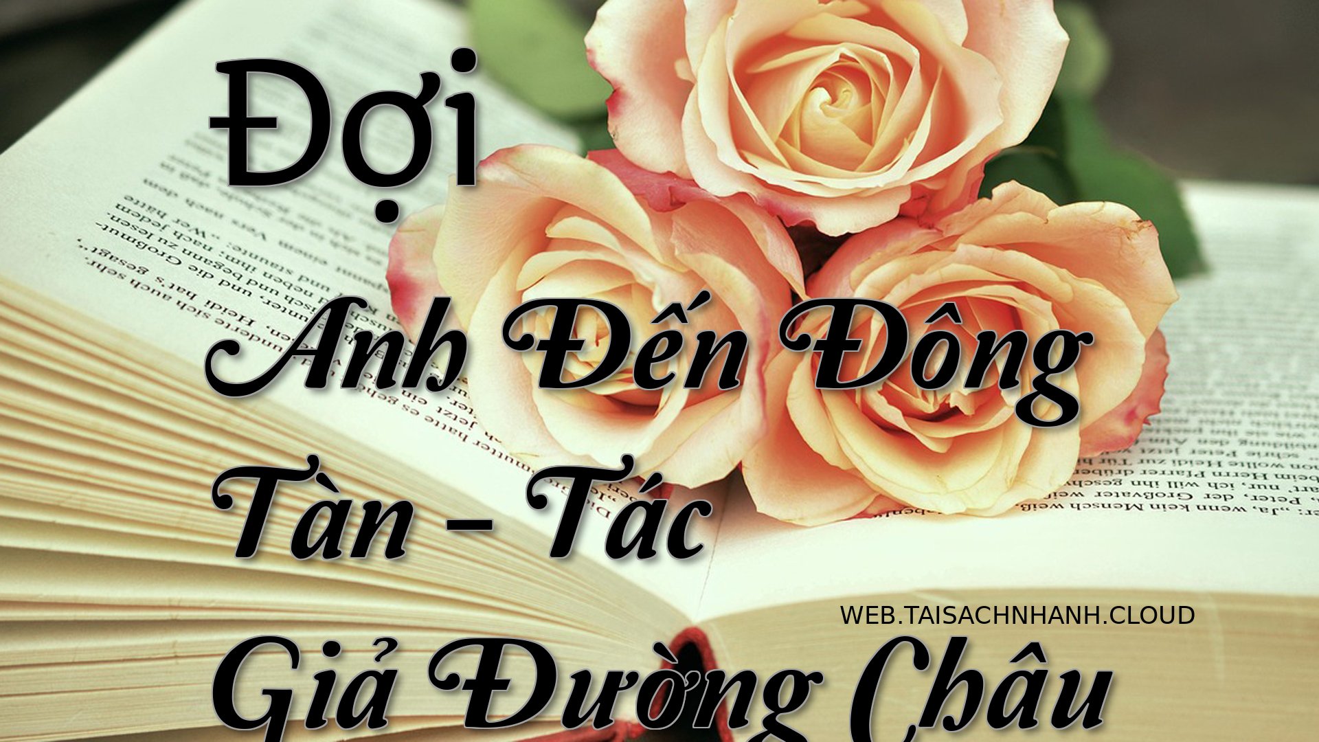 Cover Doi Anh Den Dong Tan.jpg