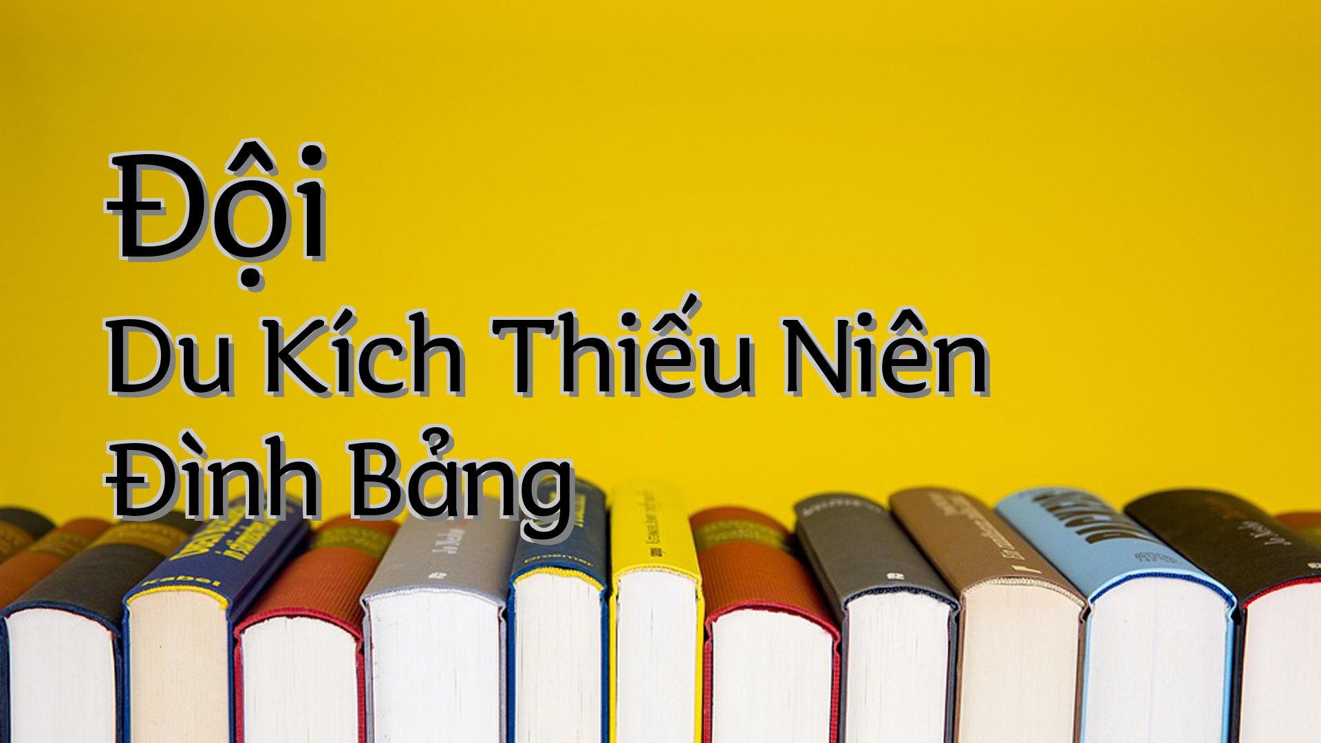 cover-Đội Du Kích Thiếu Niên Đình Bảng