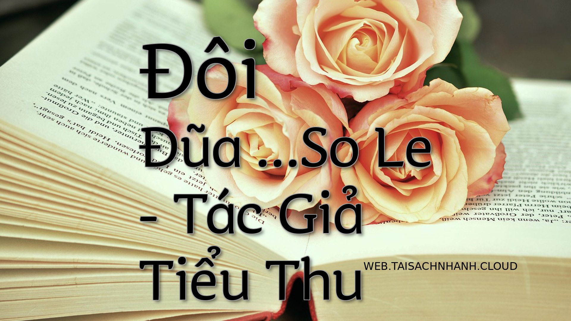 Cover Doi Dua .So Le.jpg