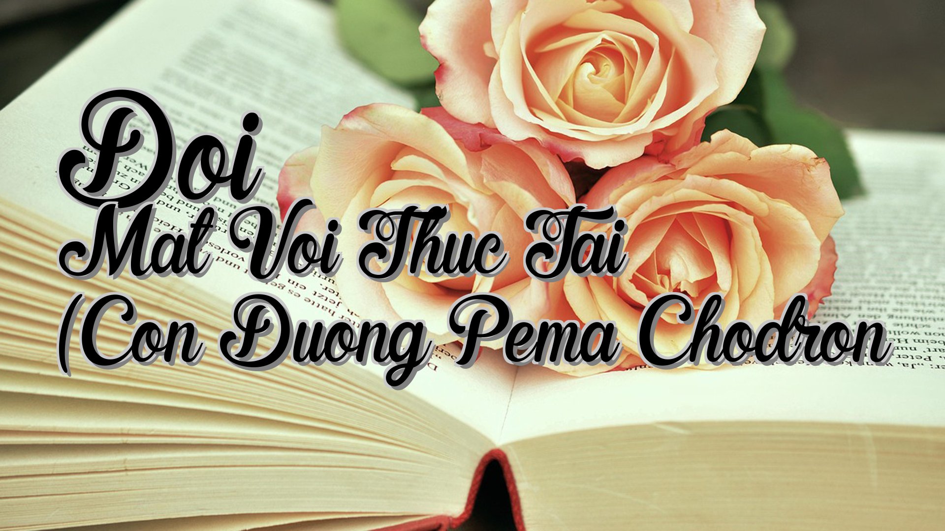 cover-Doi Mat Voi Thuc Tai (Con Duong Pema Chodron