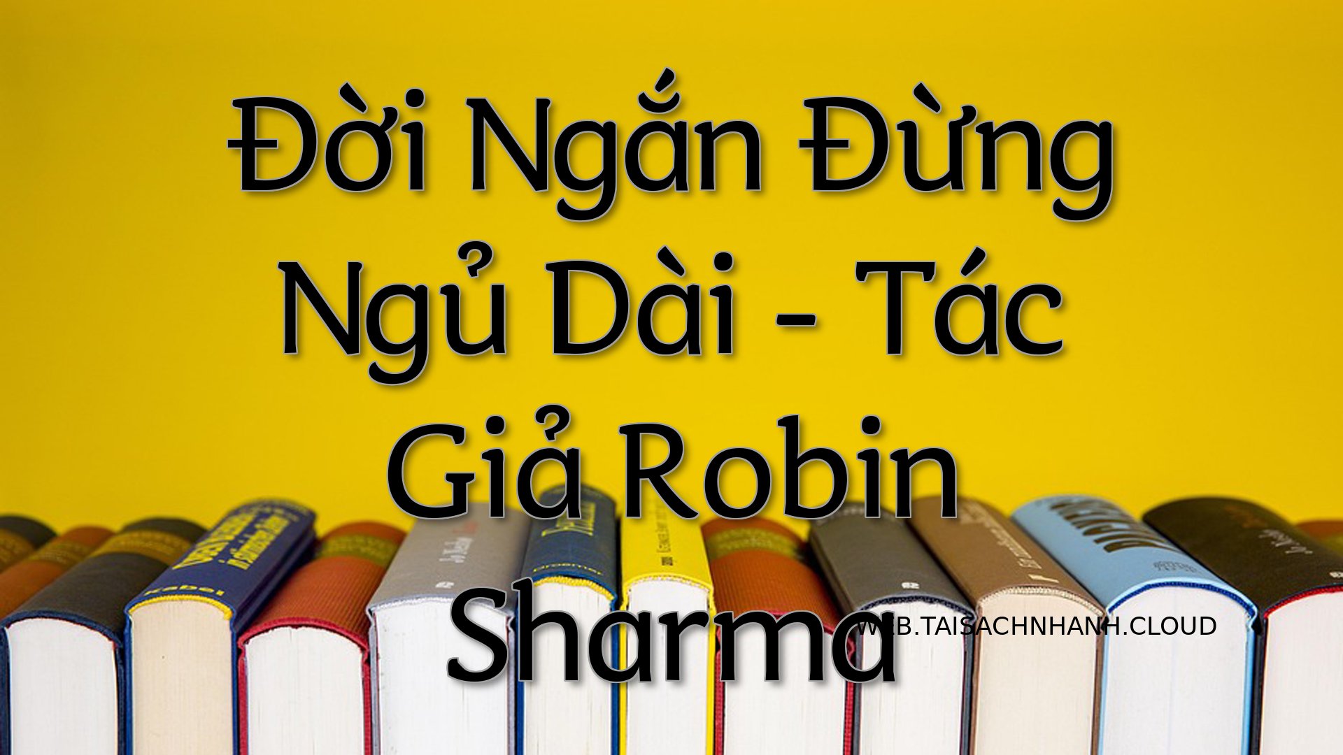 Cover Doi Ngan Dung Ngu Da.jpg