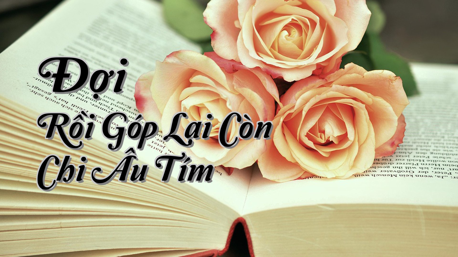 cover-Đợi Rồi Góp Lại Còn Chi Âu Tím