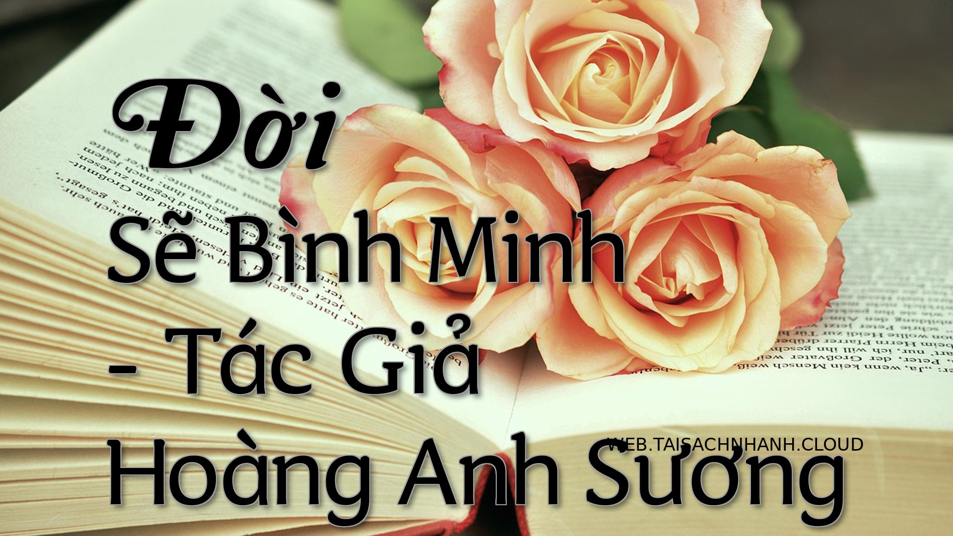 Cover Doi Se Binh Minh.jpg
