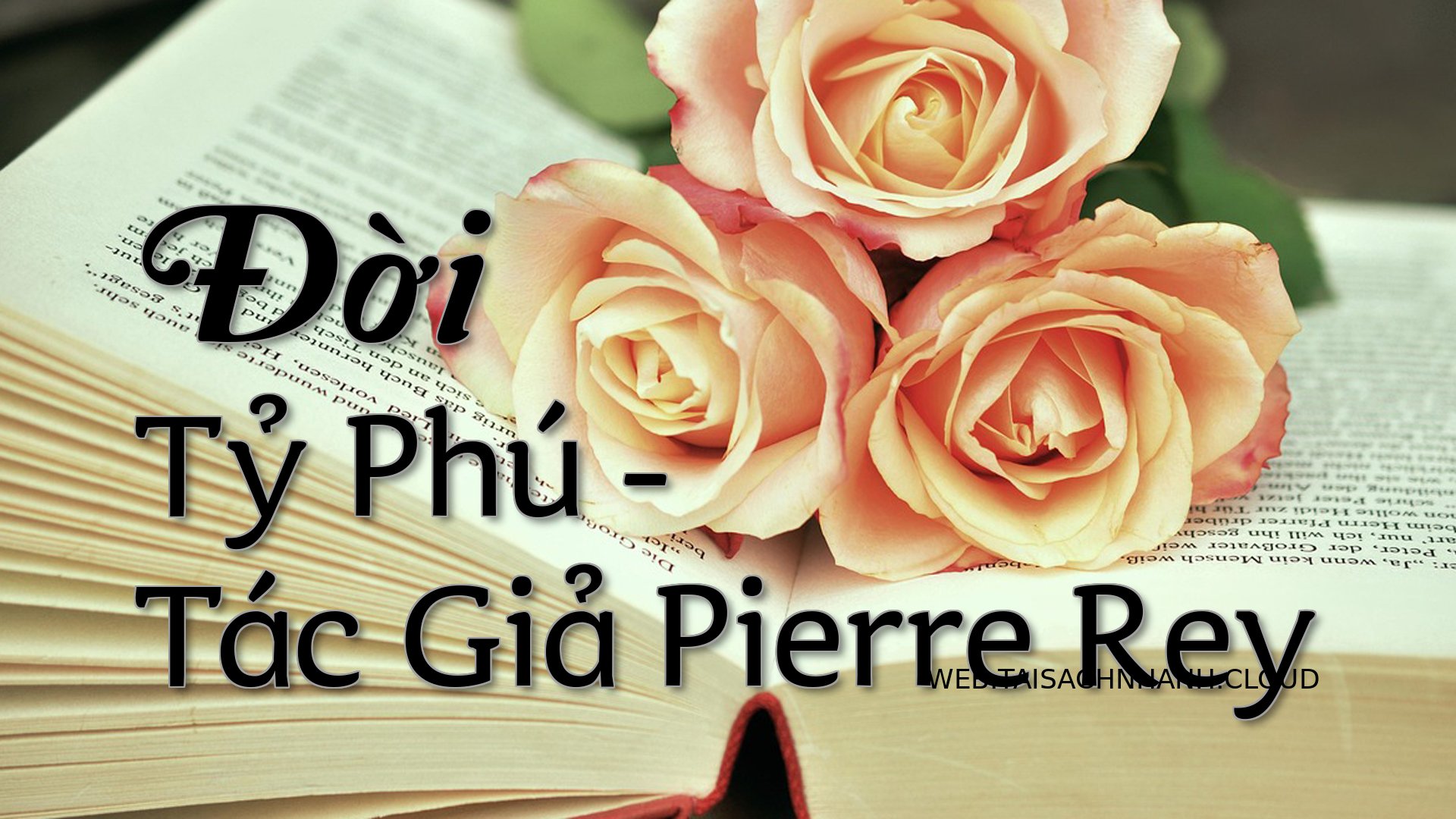 Cover Doi Ty Phu.jpg