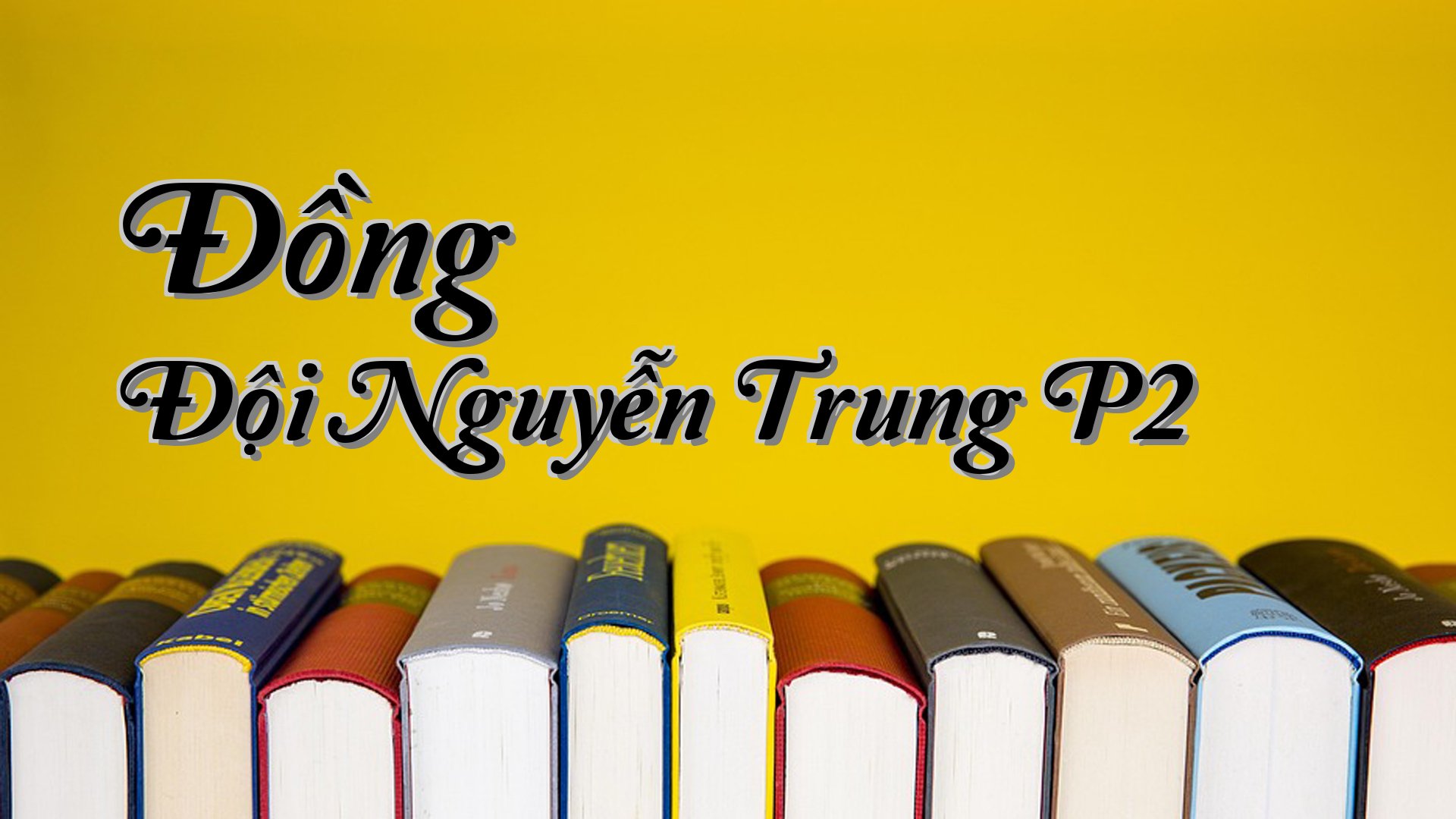 cover-Đồng Đội Nguyễn Trung P2