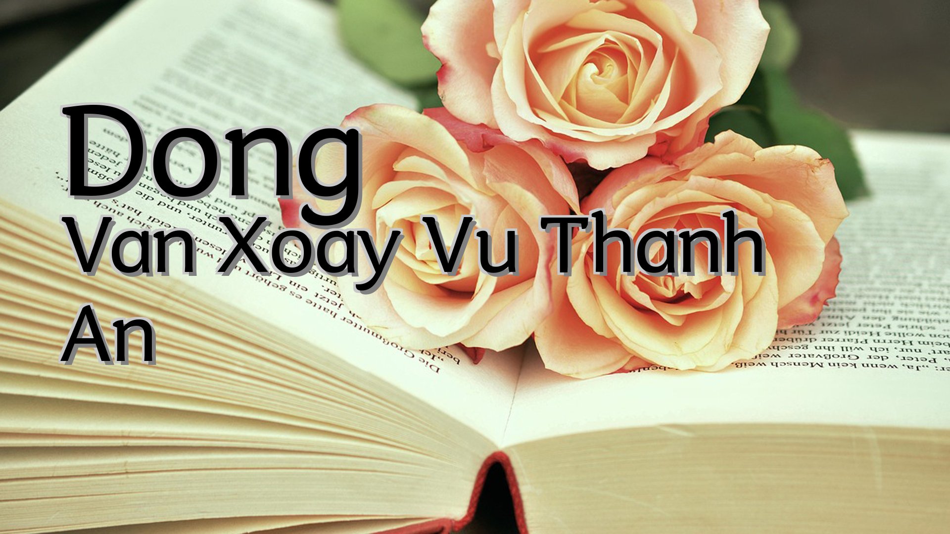 cover-Dong Van Xoay Vu Thanh An