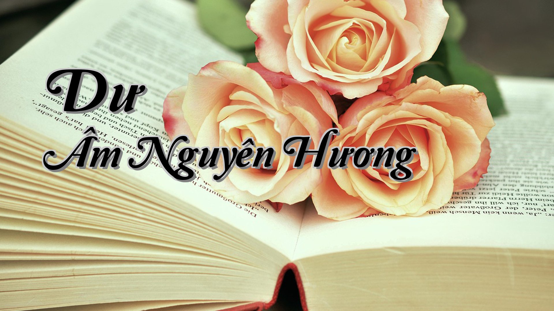 cover-Dư Âm Nguyên Hương